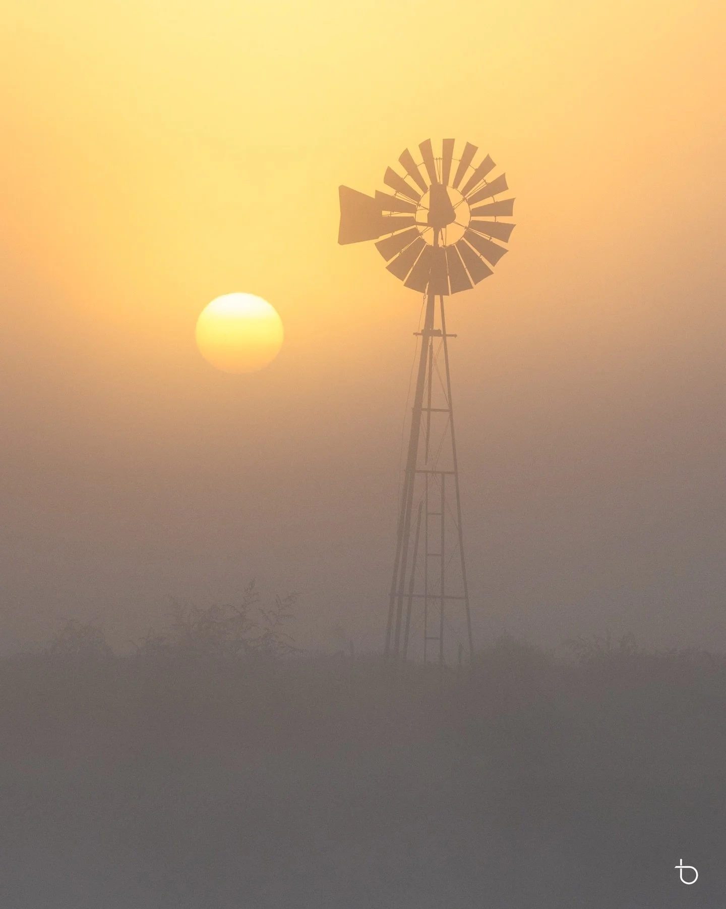 Sunday&rsquo;s pastel fog and a glowing sun ball rising softly through the mist. This one will stay a secret, tucked away in a quiet local spot.

#ilovesydney #ilovensw #ig_australia #australia_shotz #abcmyphoto igerssydney awesomeearth sydneyharbour