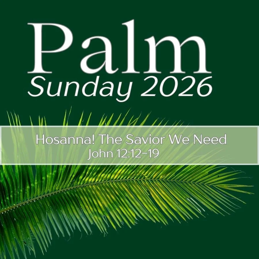 John 12:12-19 Hosanna! The Savior We Need episode artwork