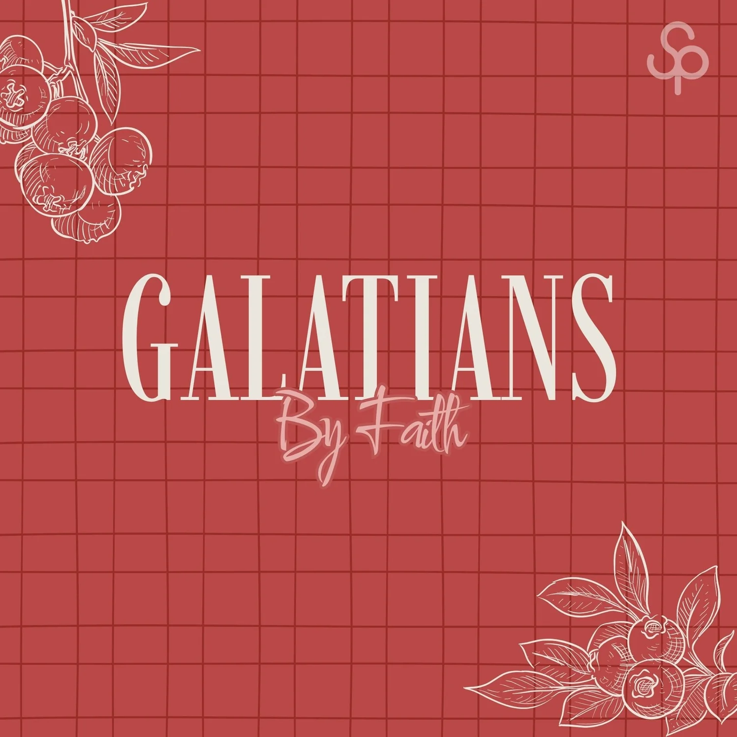 Galatians 2:1-10 Finding Affirmation episode artwork
