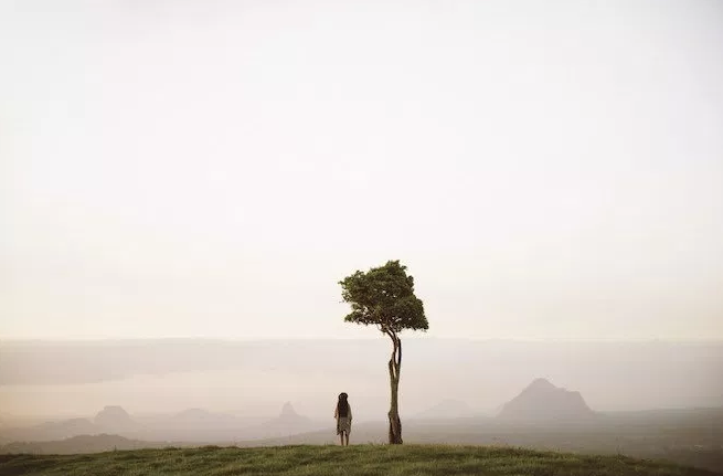One Tree Hill, Maleny