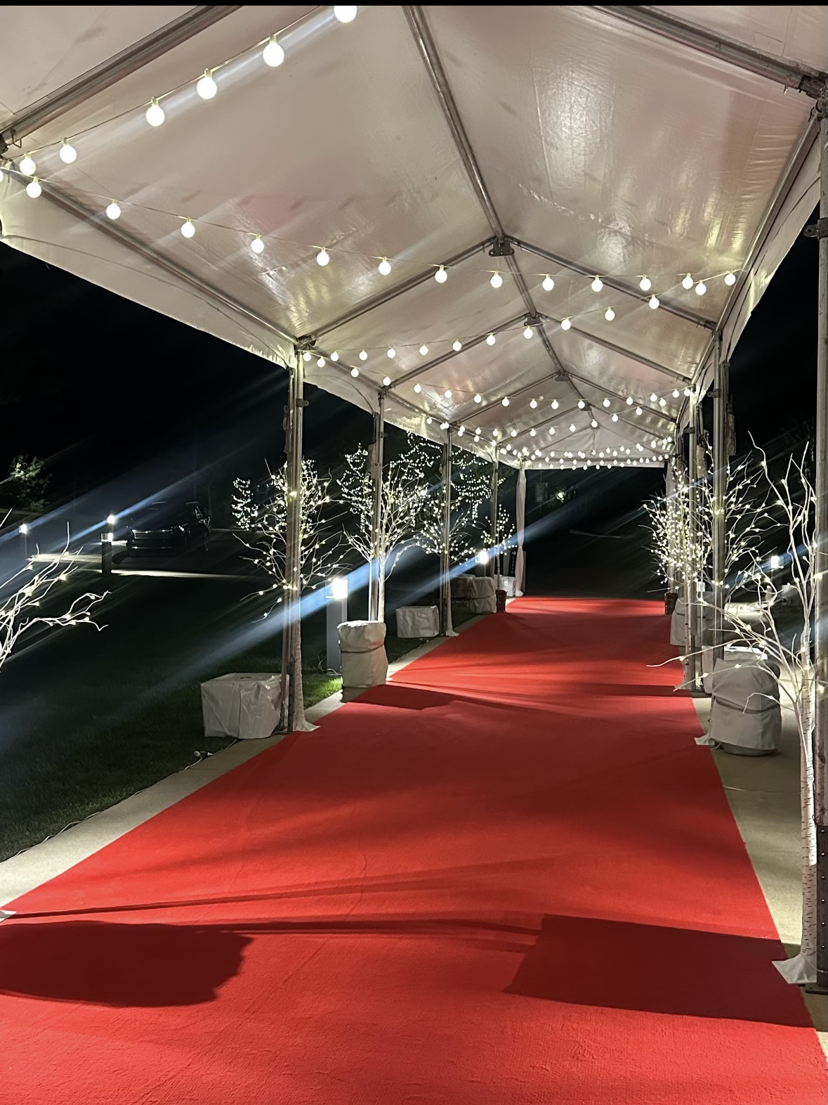 red carpet.png