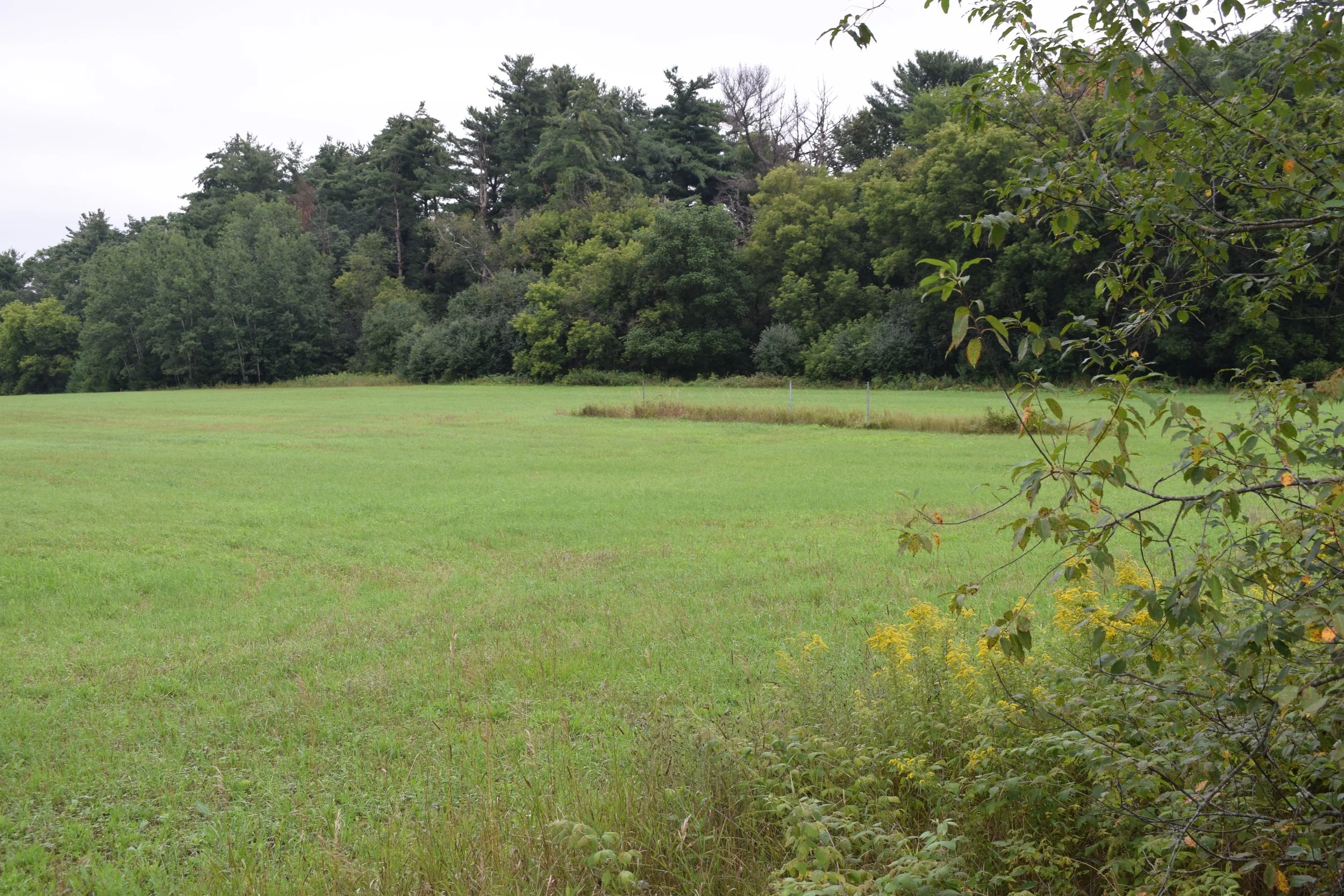 Chetek Field
