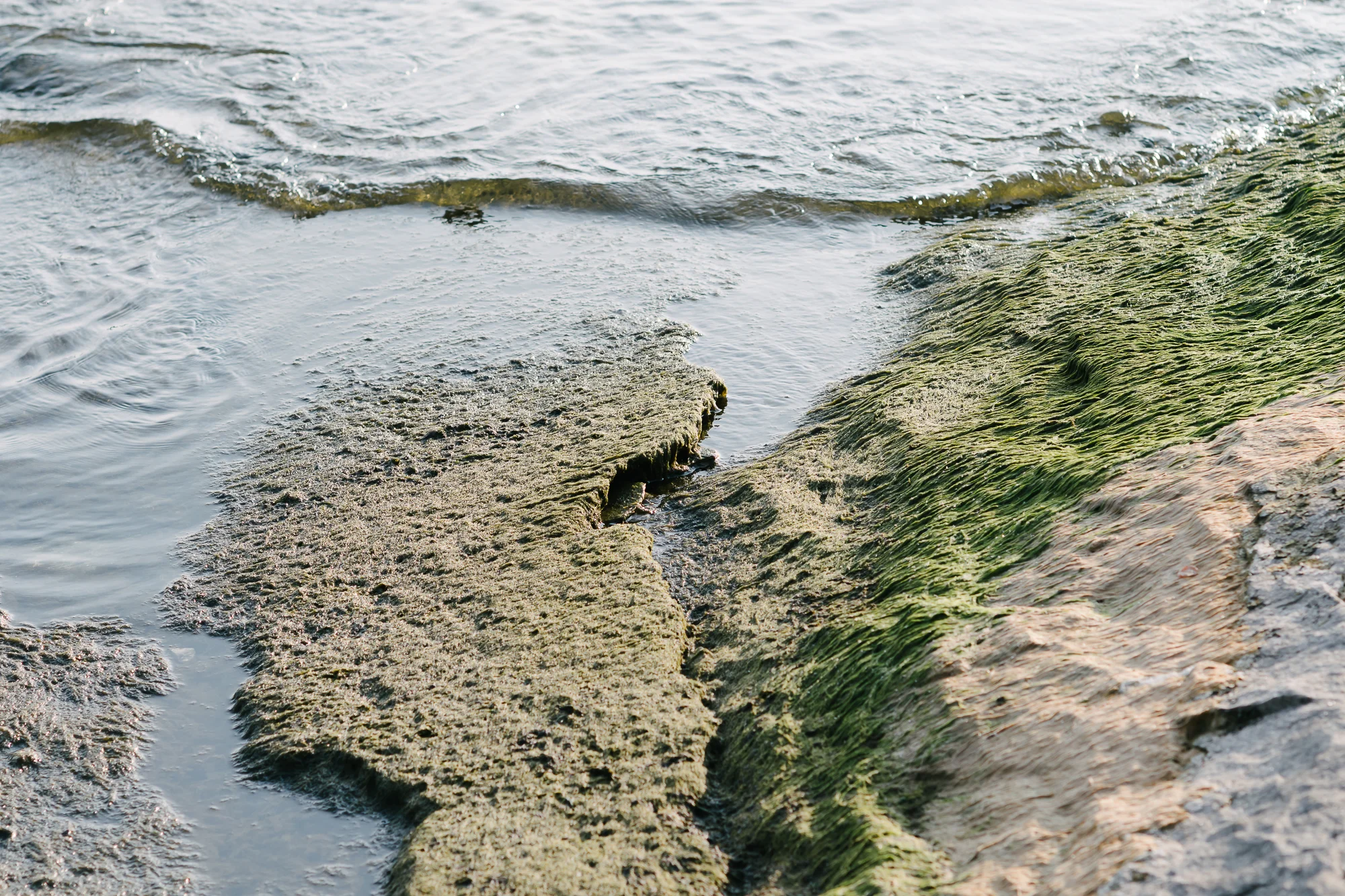 D50_3285.jpg