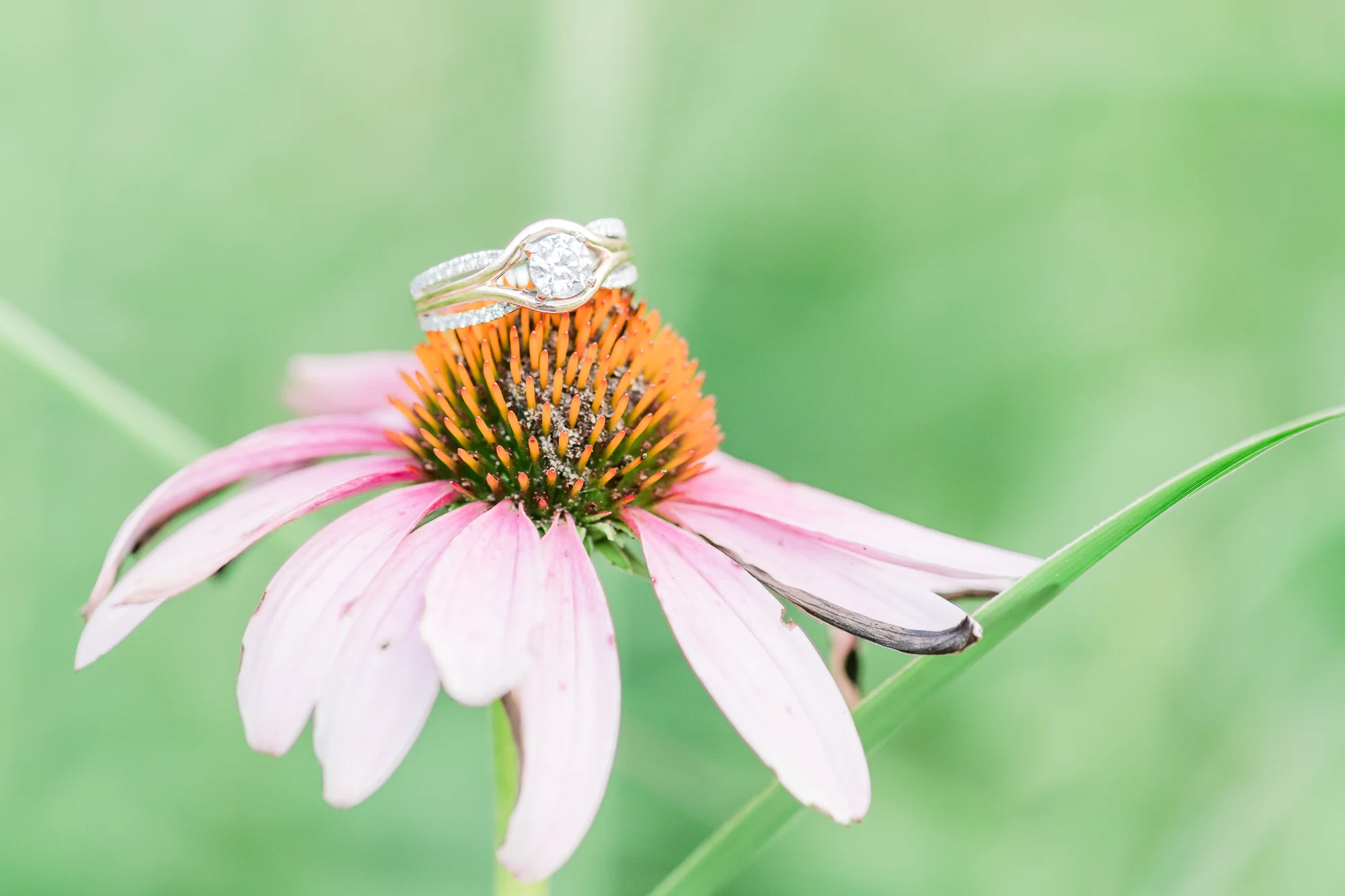 AB Favorites_Katy+Brian_Engagement Session_Brecksville Reservation_Brecksville_Ohio-35.jpg