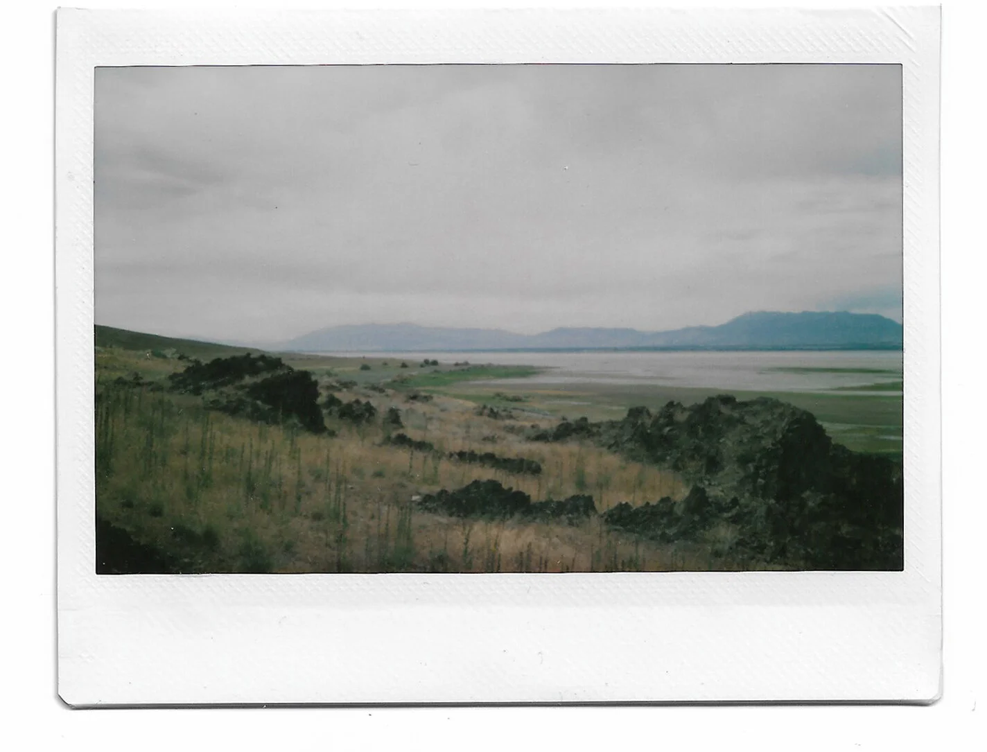 pola_8.jpg
