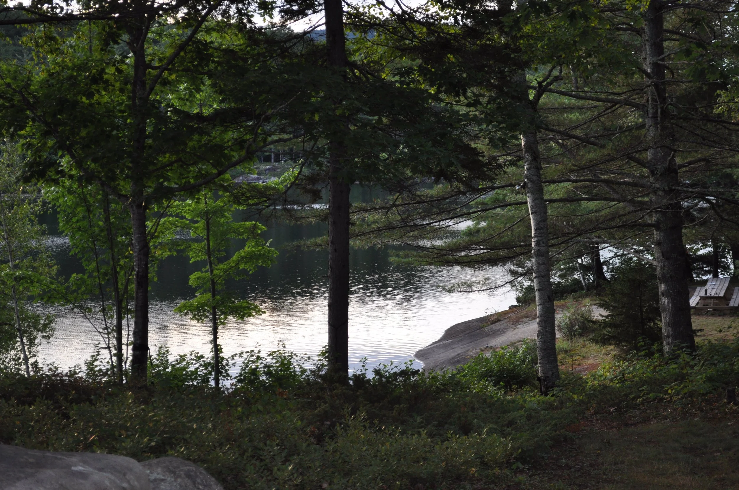 DSC_0040.JPG