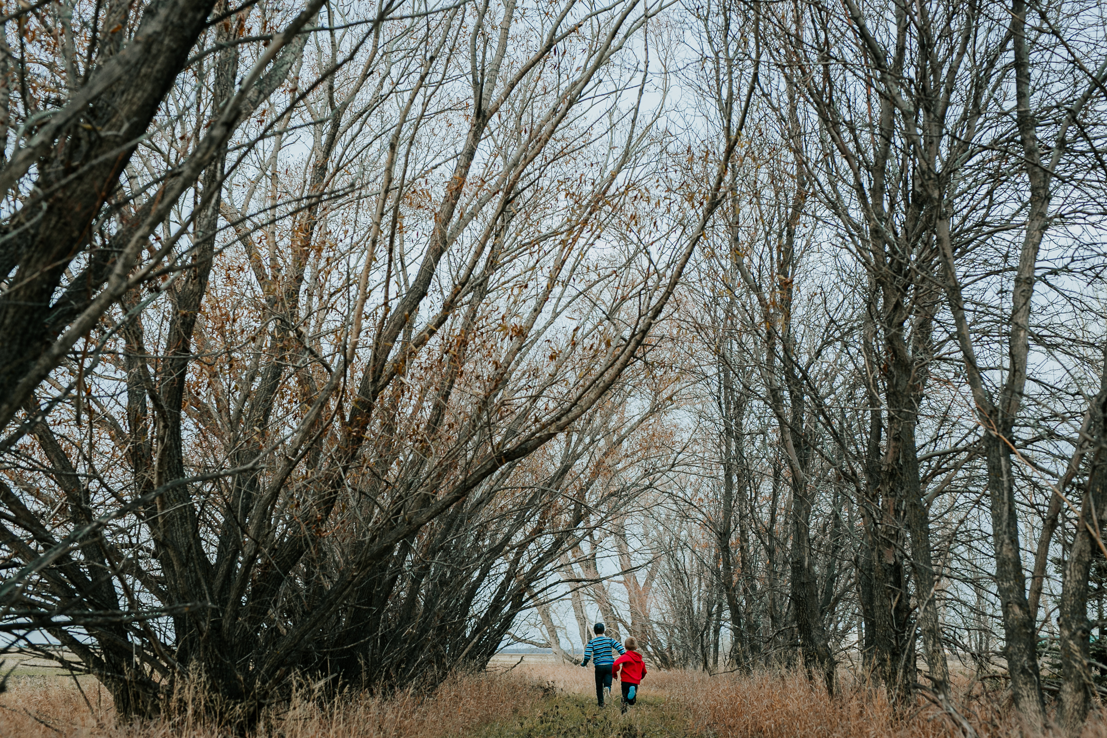 reanneberardphotography_81.jpg