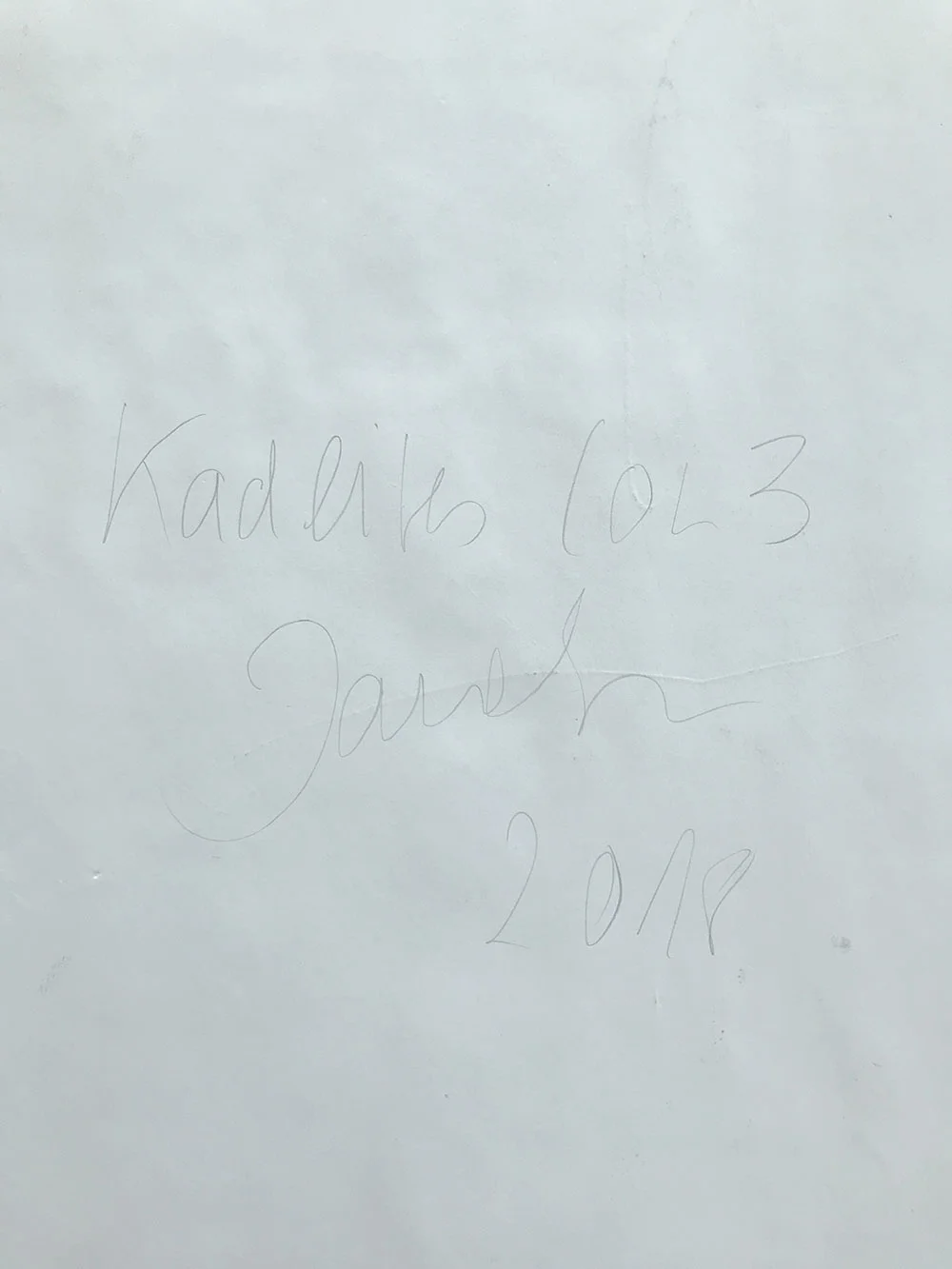 jana-schroder-collecteurs-capsule-edition-kadlites-3