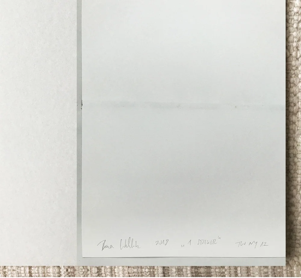 WACHHOLZCOVER-signature.jpg