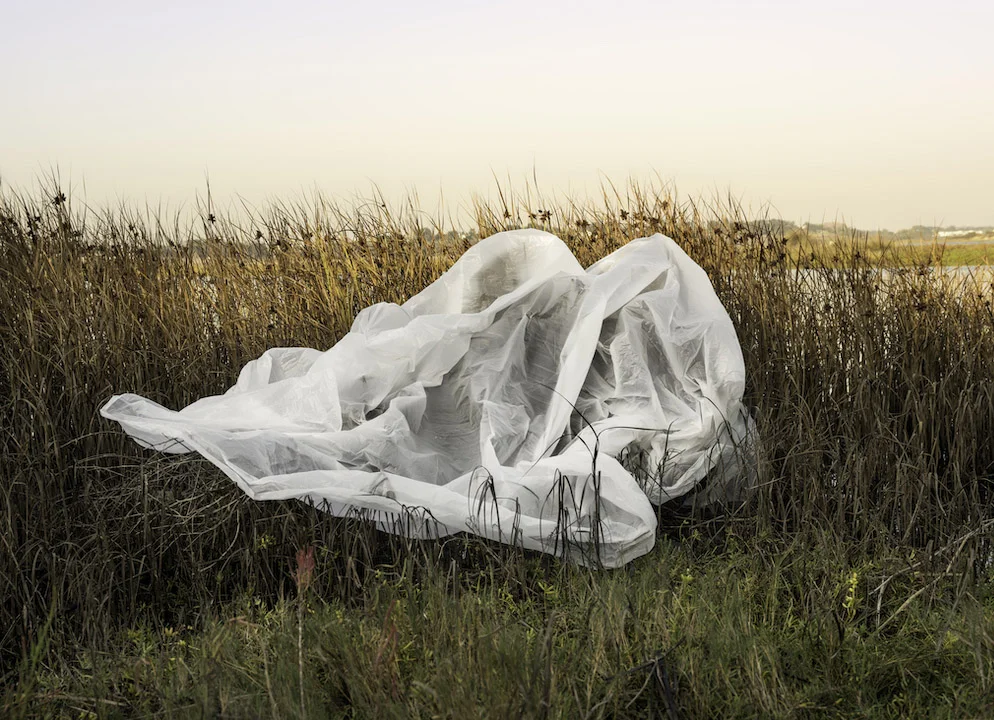 Felicidad de Lucas/Untitled (How Soon is Now), 2018