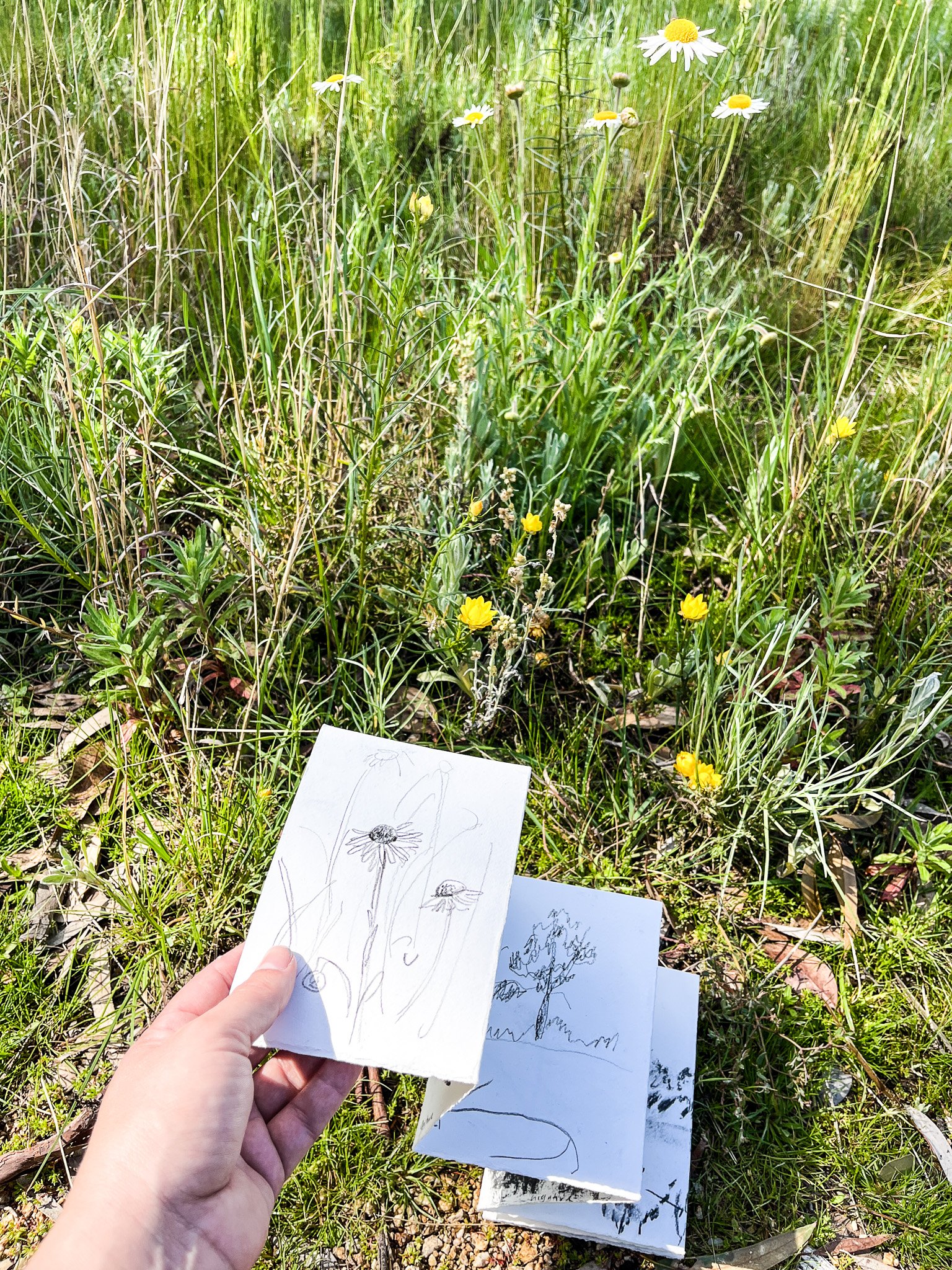 sarahhankinson_nature art workshop_melbourne25.jpg