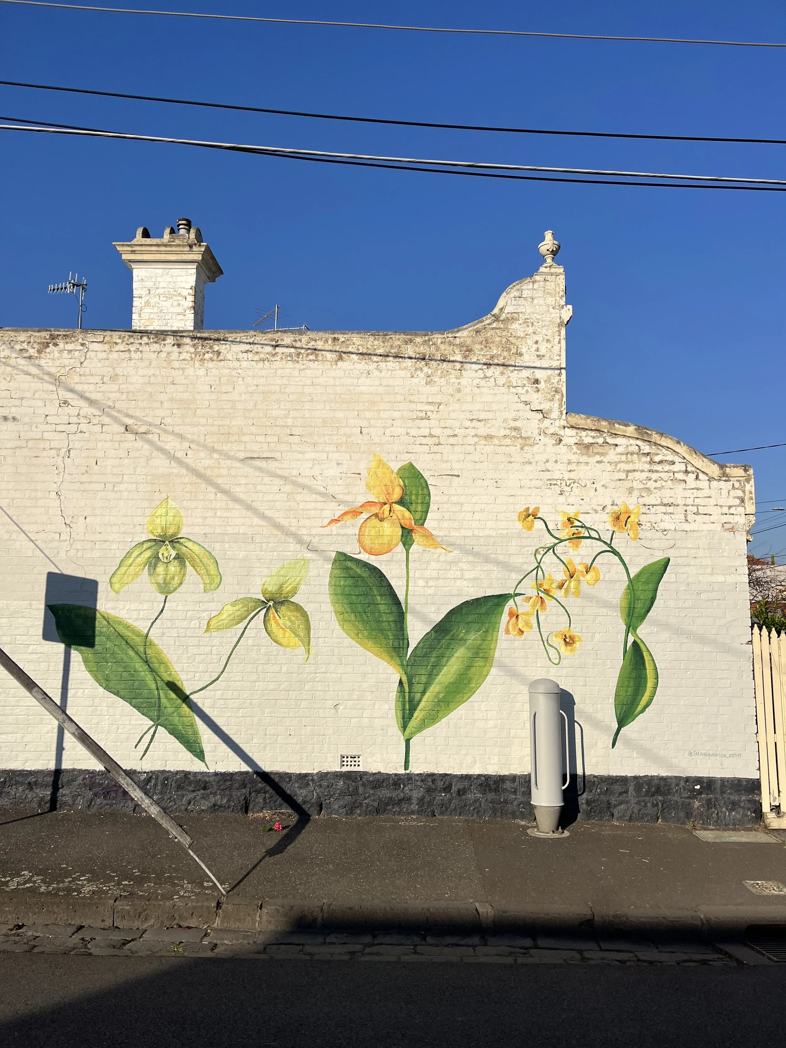 Botanical Orchid Mural_Orchids_Sarah Hankinson_5.JPG