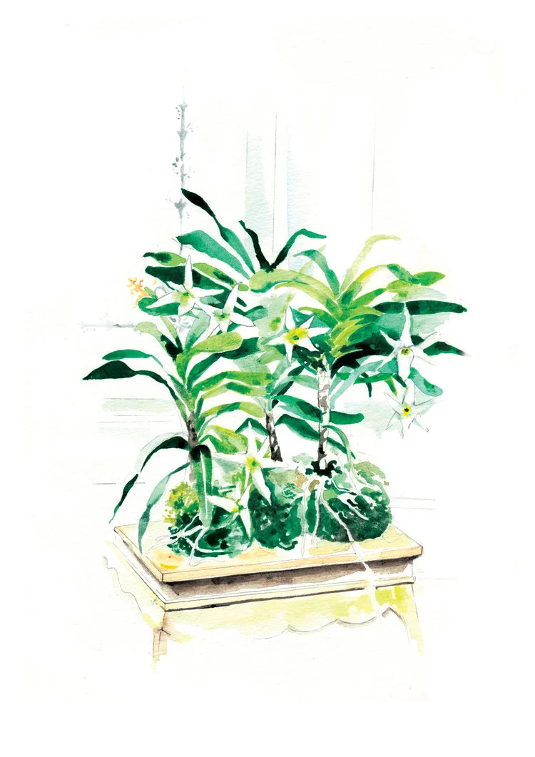 Quiet Places - 2019 Calendar  by Melbourne based artist & Illustrator Sarah Hankinson. 