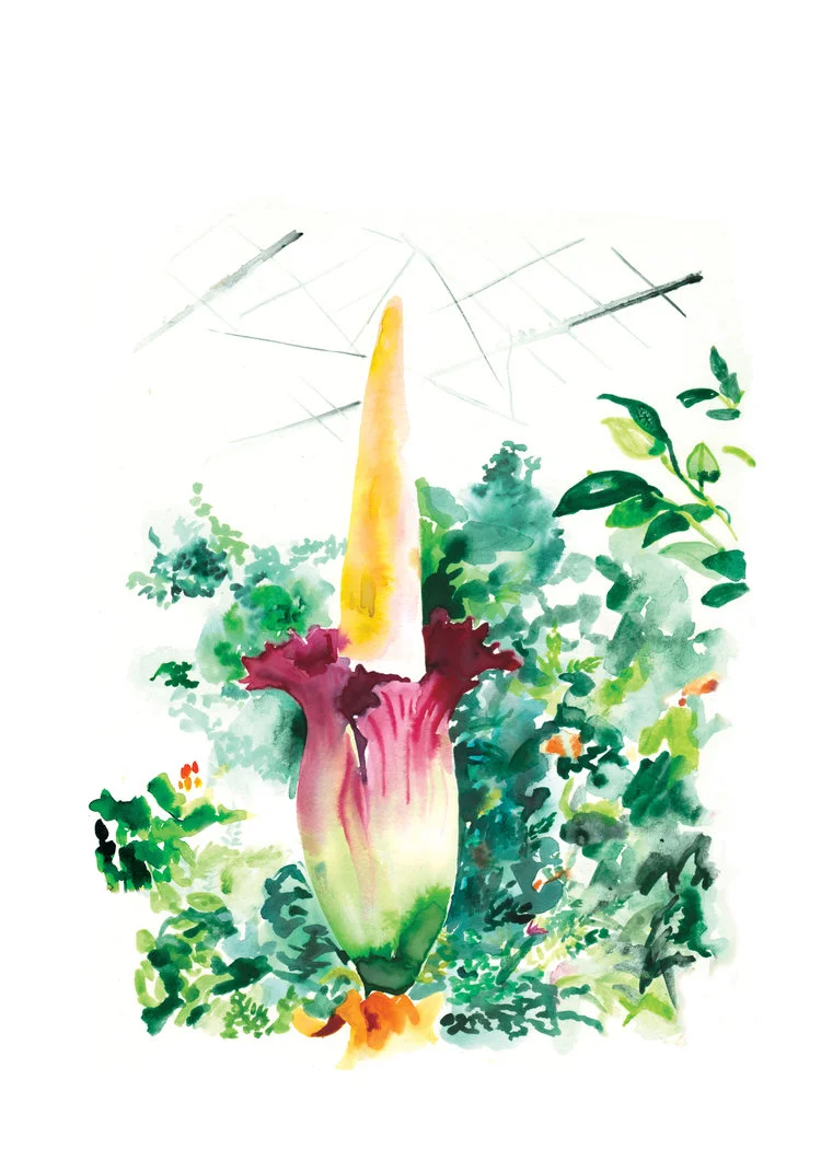 Quiet Places - 2019 Calendar  by Melbourne based artist & Illustrator Sarah Hankinson. 