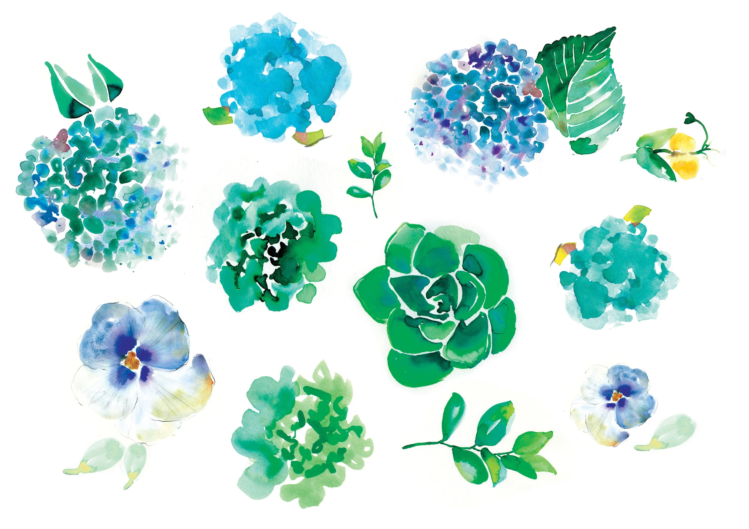 Anthropologie product illustrations by Melbourne based artist & Illustrator Sarah Hankinson. 