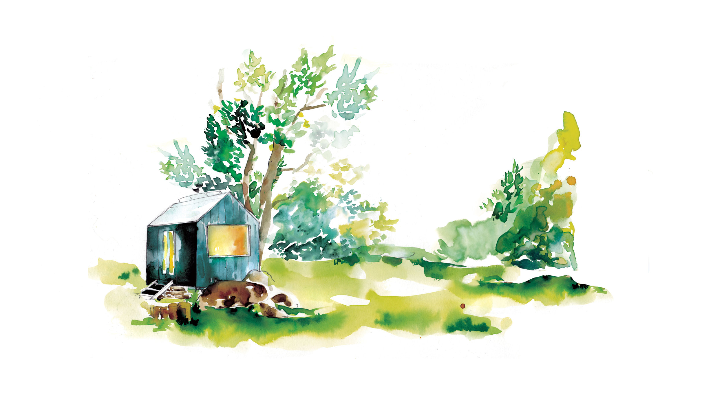 Illustrations by Melbourne based artist & Illustrator Sarah Hankinson. 