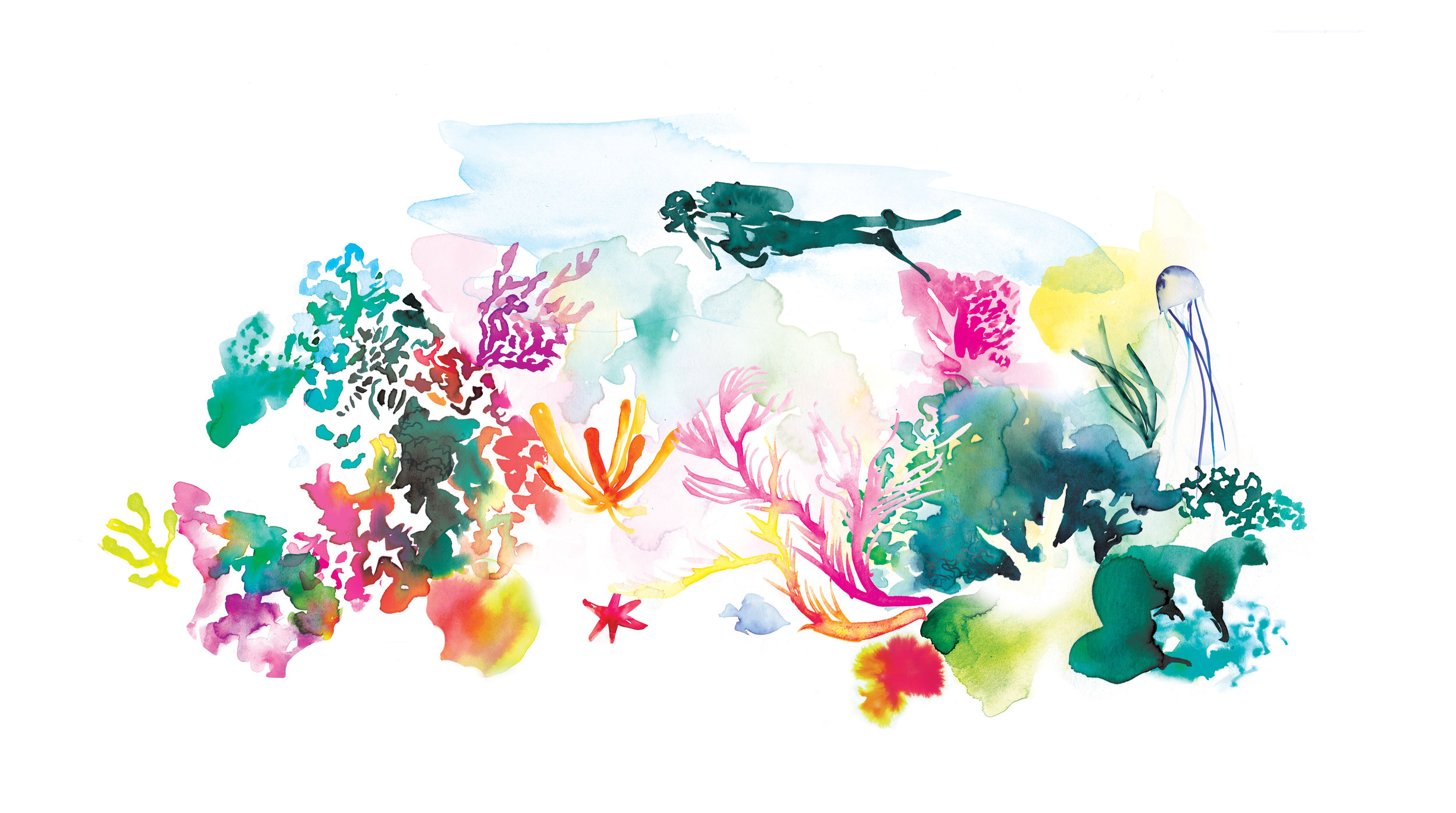 Illustrations by Melbourne based artist & Illustrator Sarah Hankinson. 