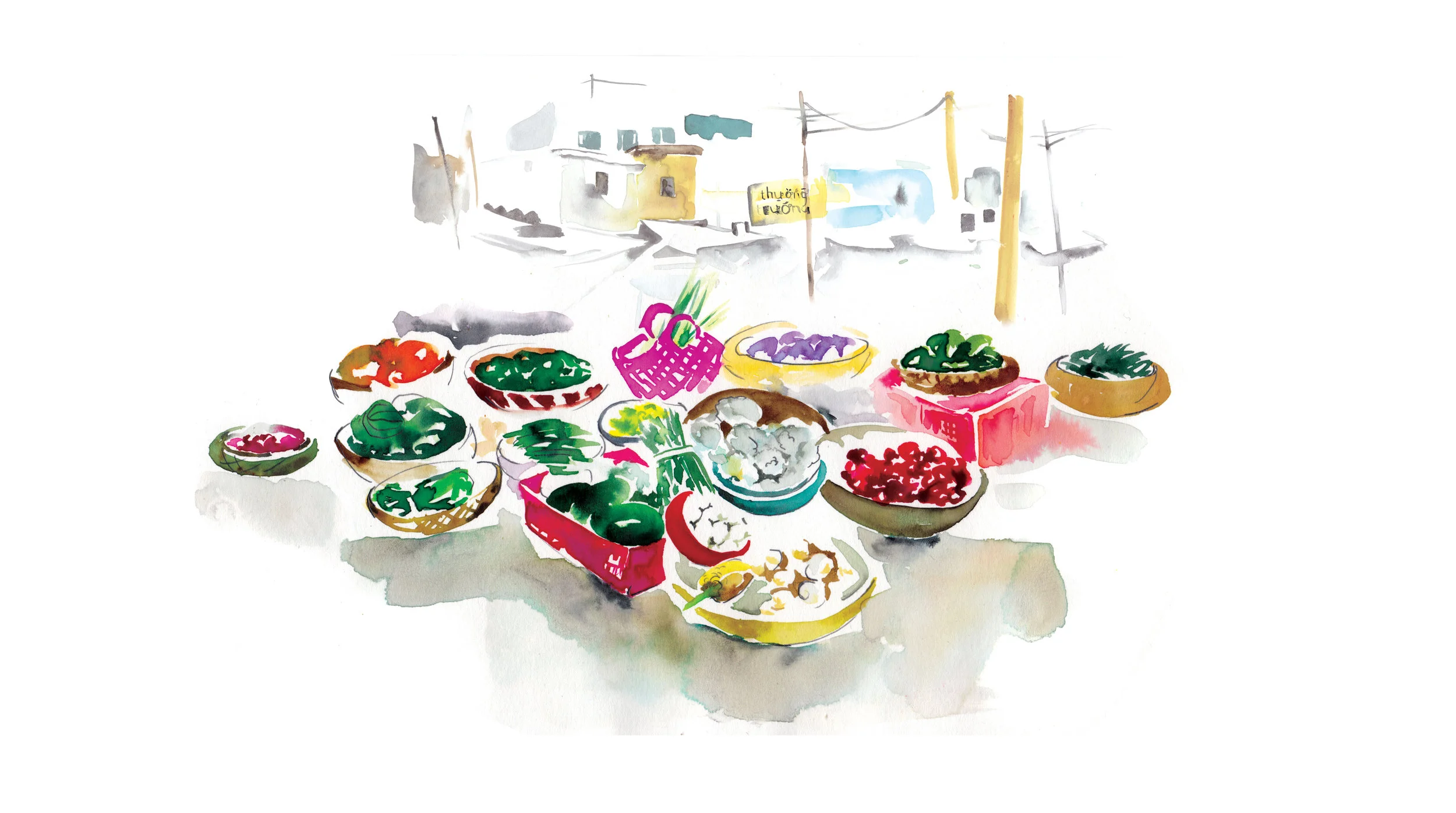 Illustrations by Melbourne based artist & Illustrator Sarah Hankinson. 