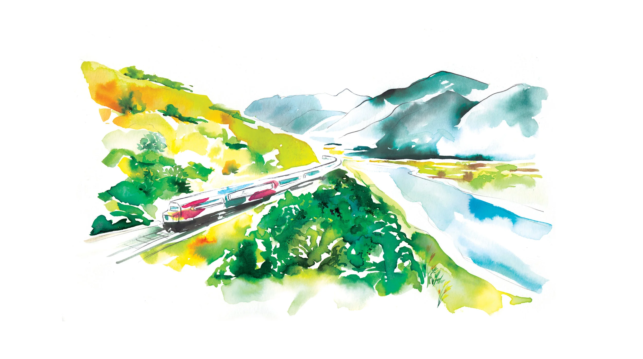 Illustrations by Melbourne based artist & Illustrator Sarah Hankinson. 