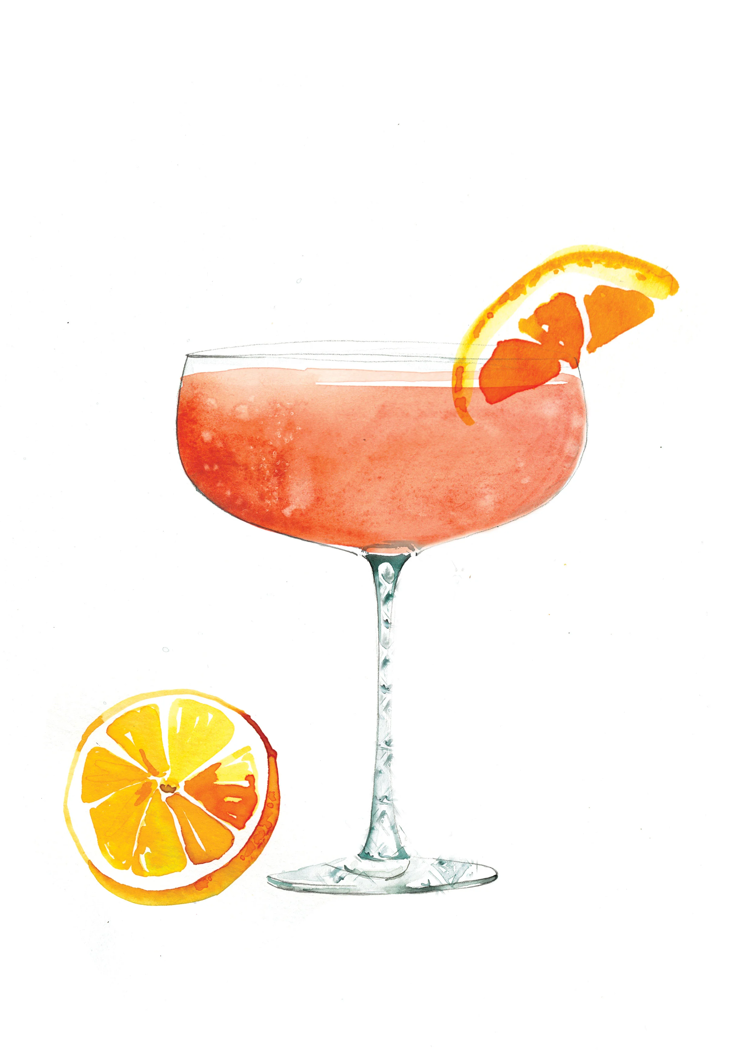 Spritz Fever Illustrated Cocktail Book by Melbourne based artist & Illustrator Sarah Hankinson