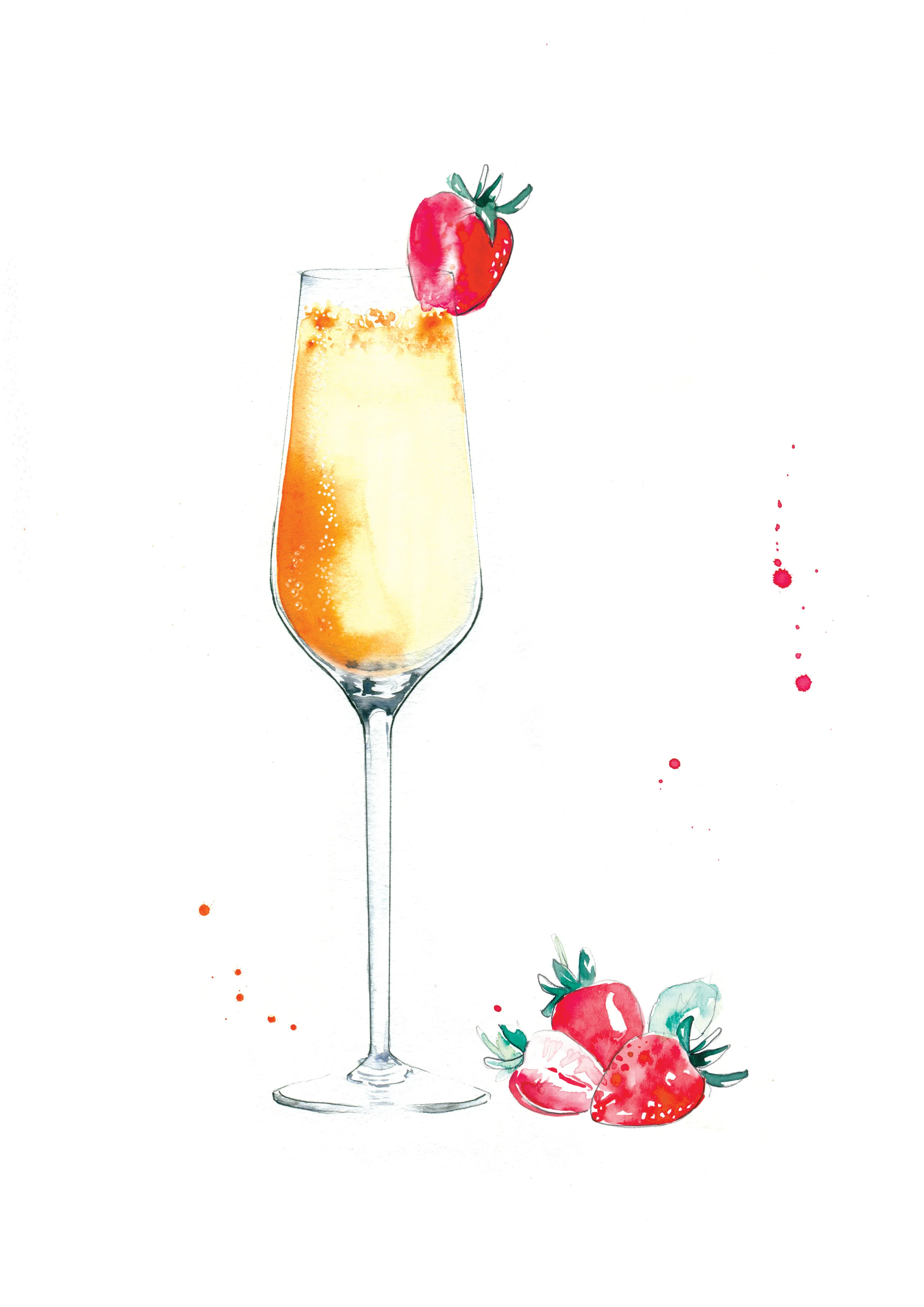 Spritz Fever Illustrated Cocktail Book by Melbourne based artist & Illustrator Sarah Hankinson