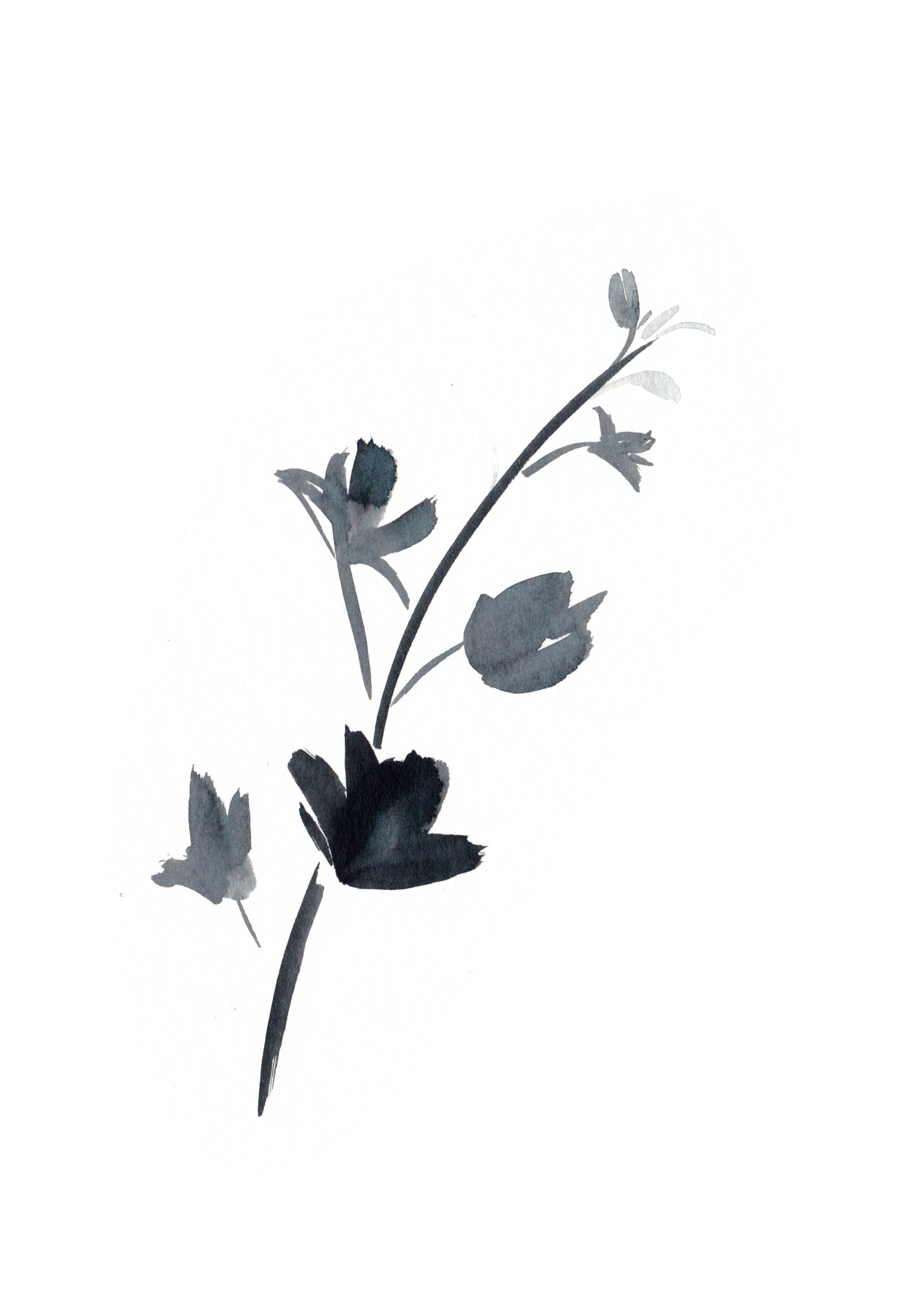 Ink art  by Melbourne based artist & Illustrator Sarah Hankinson. 
