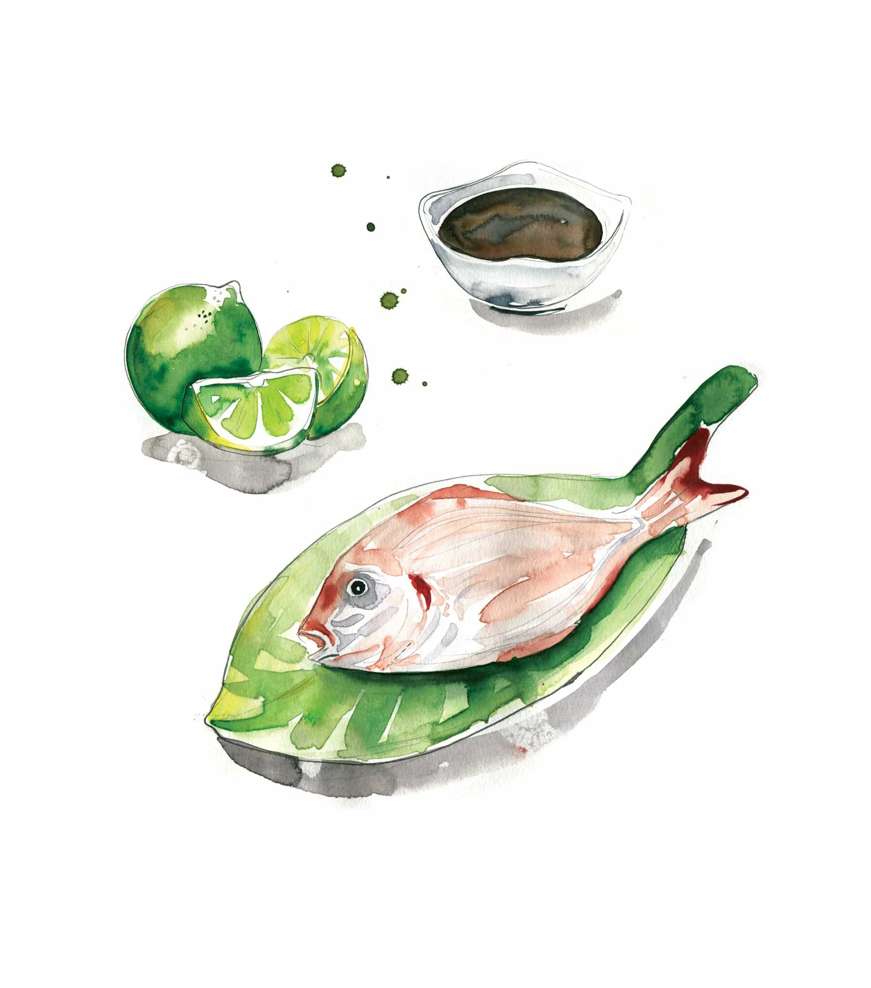 Australian Volunteers Internationals cookbook illustrations- Food to Share.  by Melbourne based artist & Illustrator Sarah Hankinson. 
