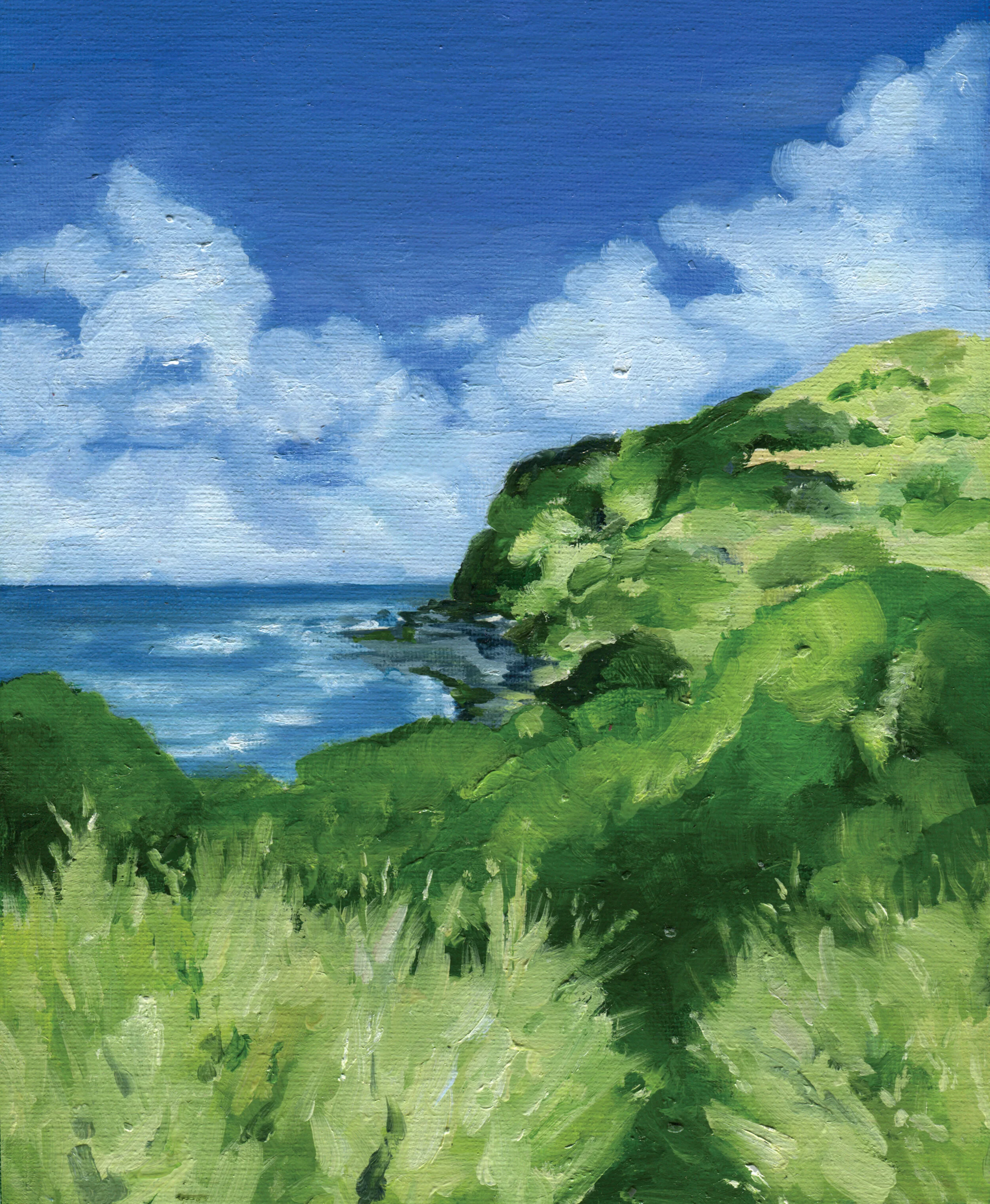 Flinders Beach Original Australian Art by Melbourne based artist & Illustrator Sarah Hankinson