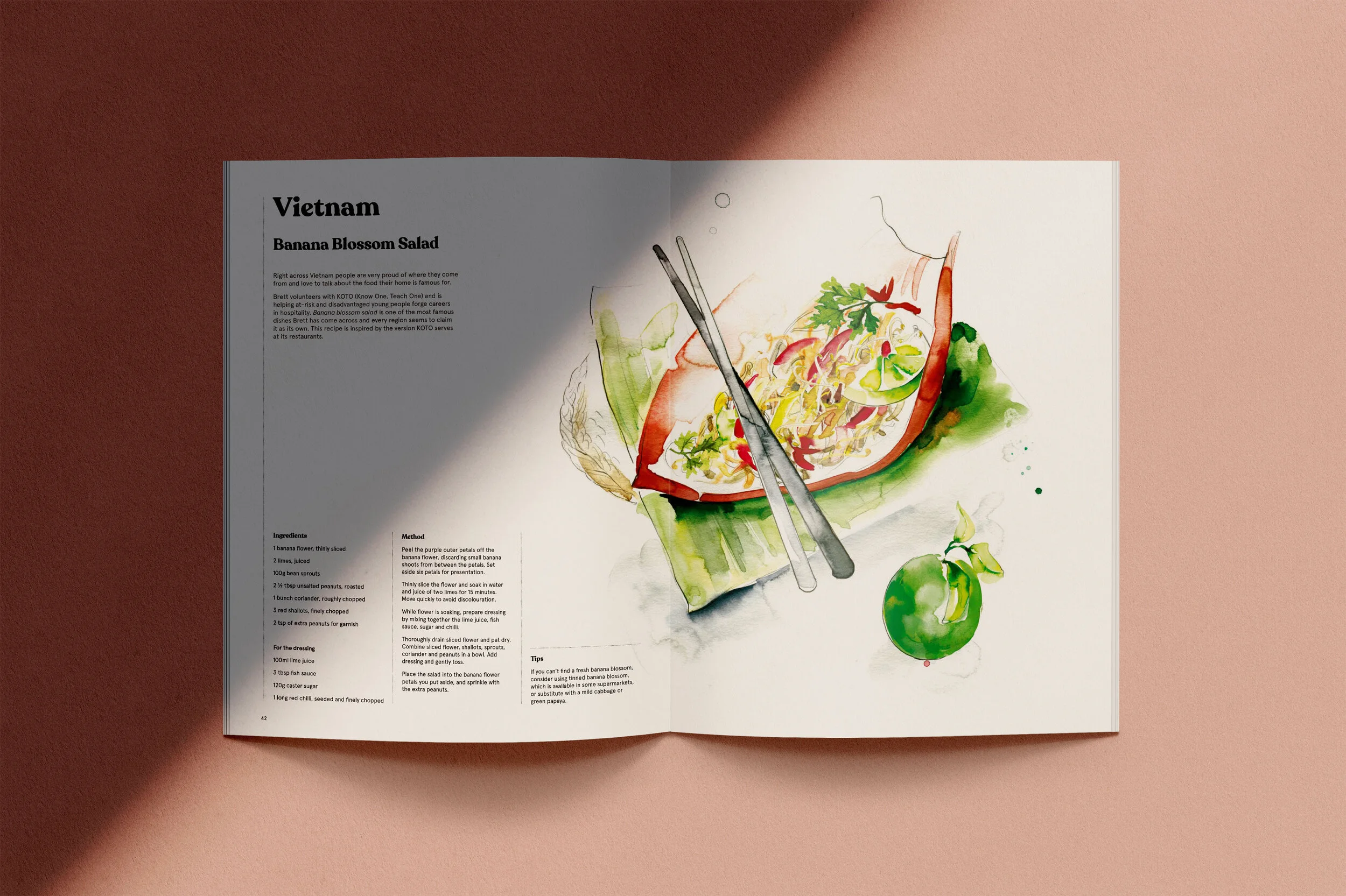 Australian Volunteers Internationals cookbook illustrations- Food to Share.  by Melbourne based artist & Illustrator Sarah Hankinson. 