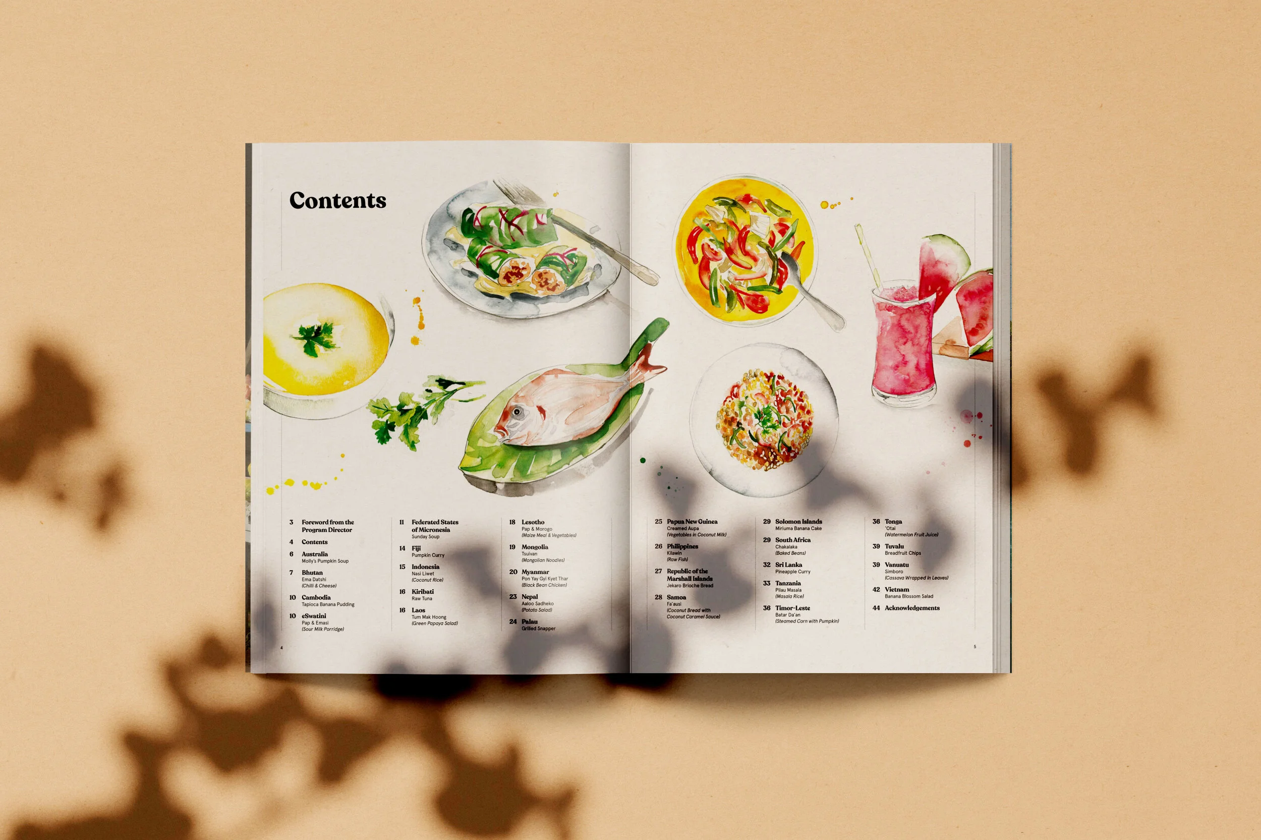 Australian Volunteers Internationals cookbook illustrations- Food to Share.  by Melbourne based artist & Illustrator Sarah Hankinson. 