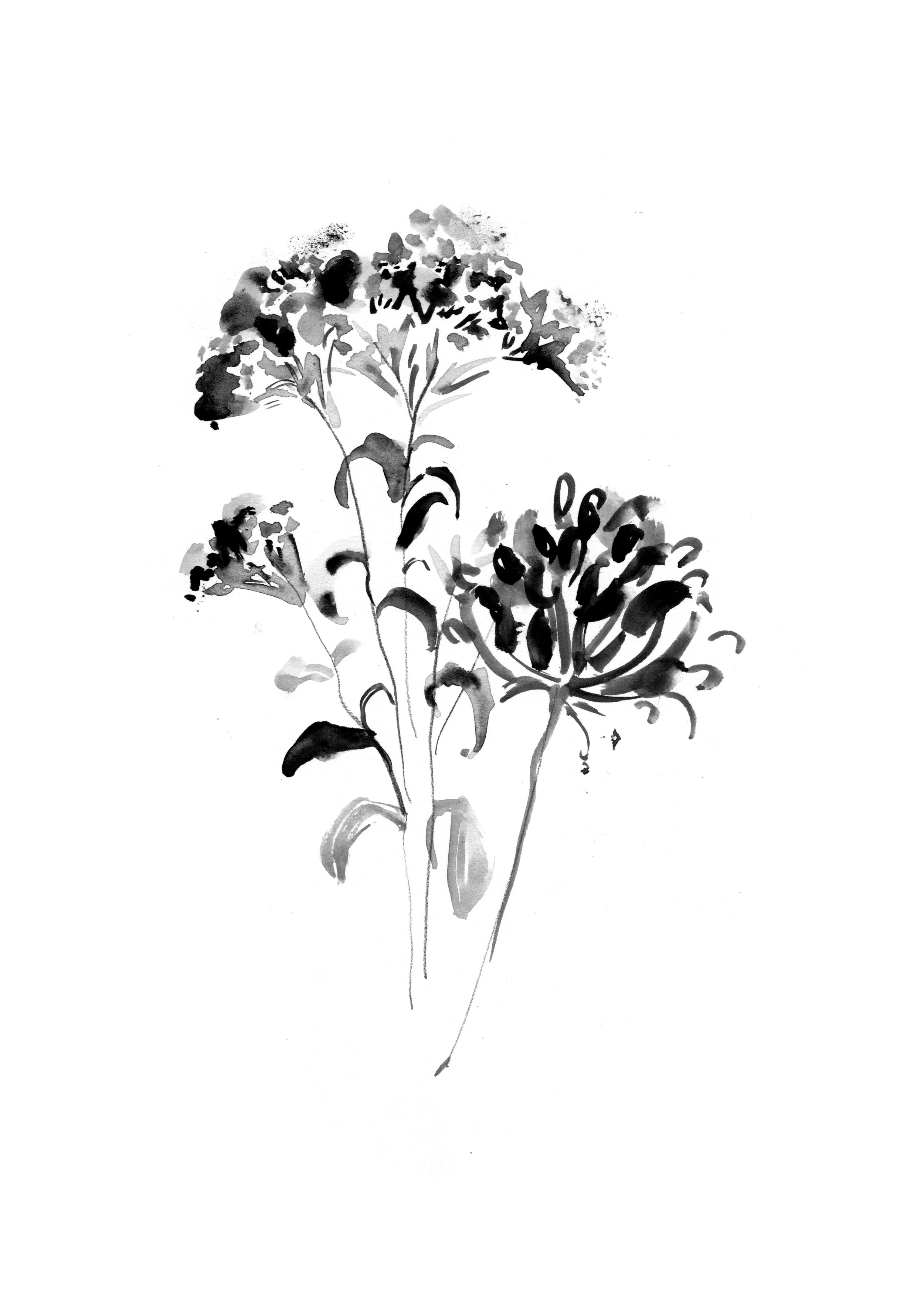 Ink art  by Melbourne based artist & Illustrator Sarah Hankinson. 