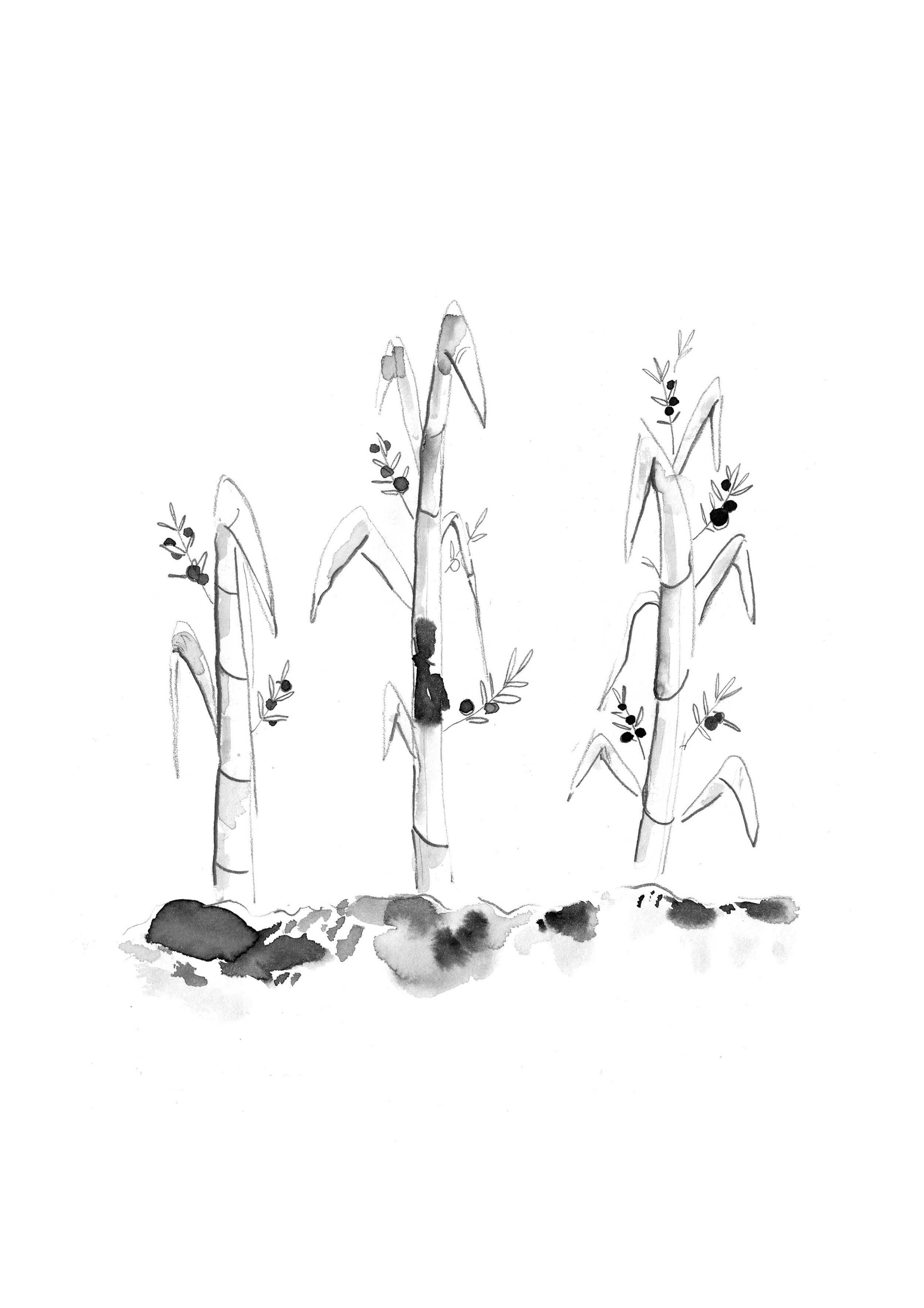 Illustrations for a Hong Kong based restaurant & bar by Melbourne based artist & Illustrator Sarah Hankinson. 