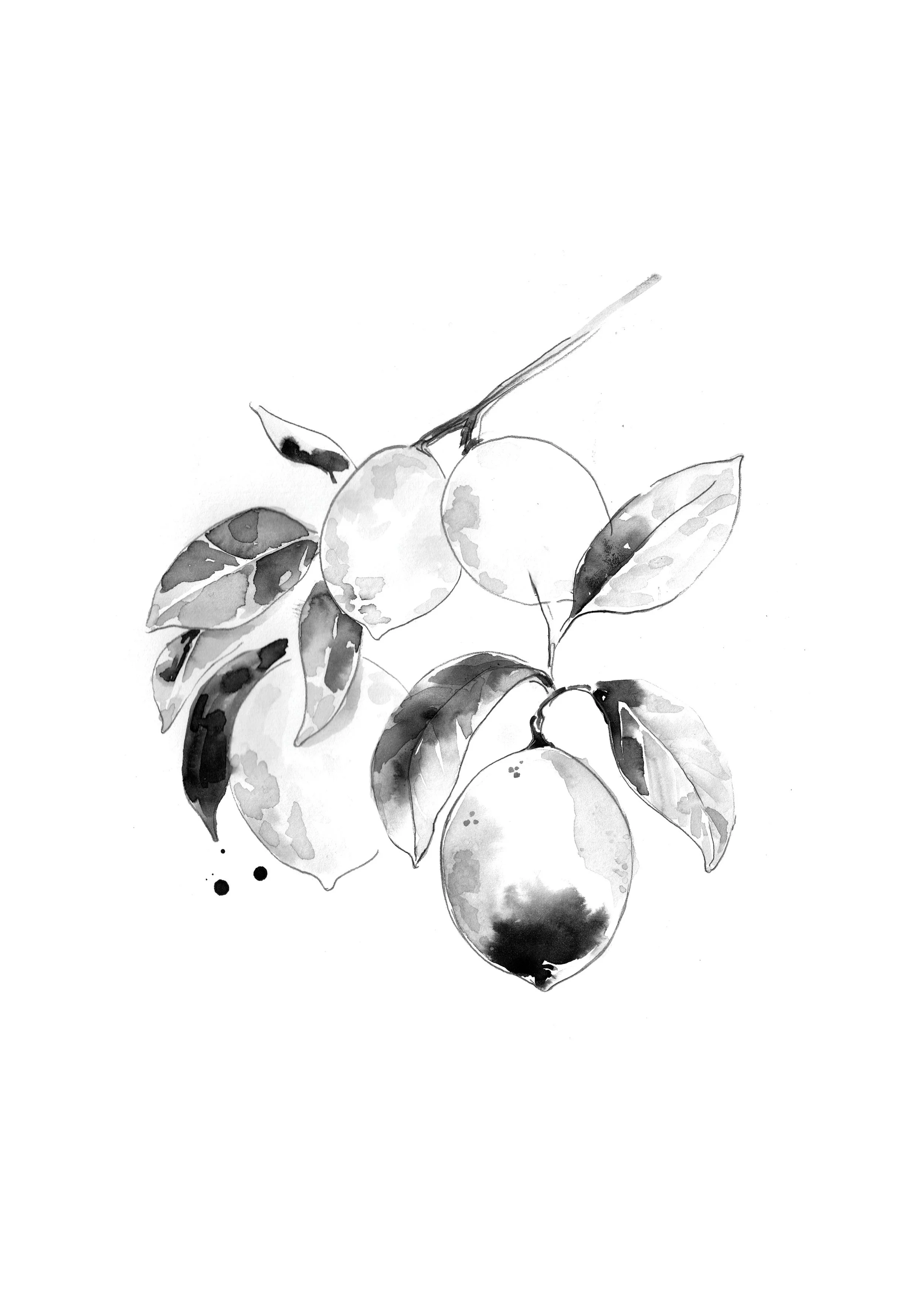 Illustrations for a Hong Kong based restaurant & bar by Melbourne based artist & Illustrator Sarah Hankinson. 