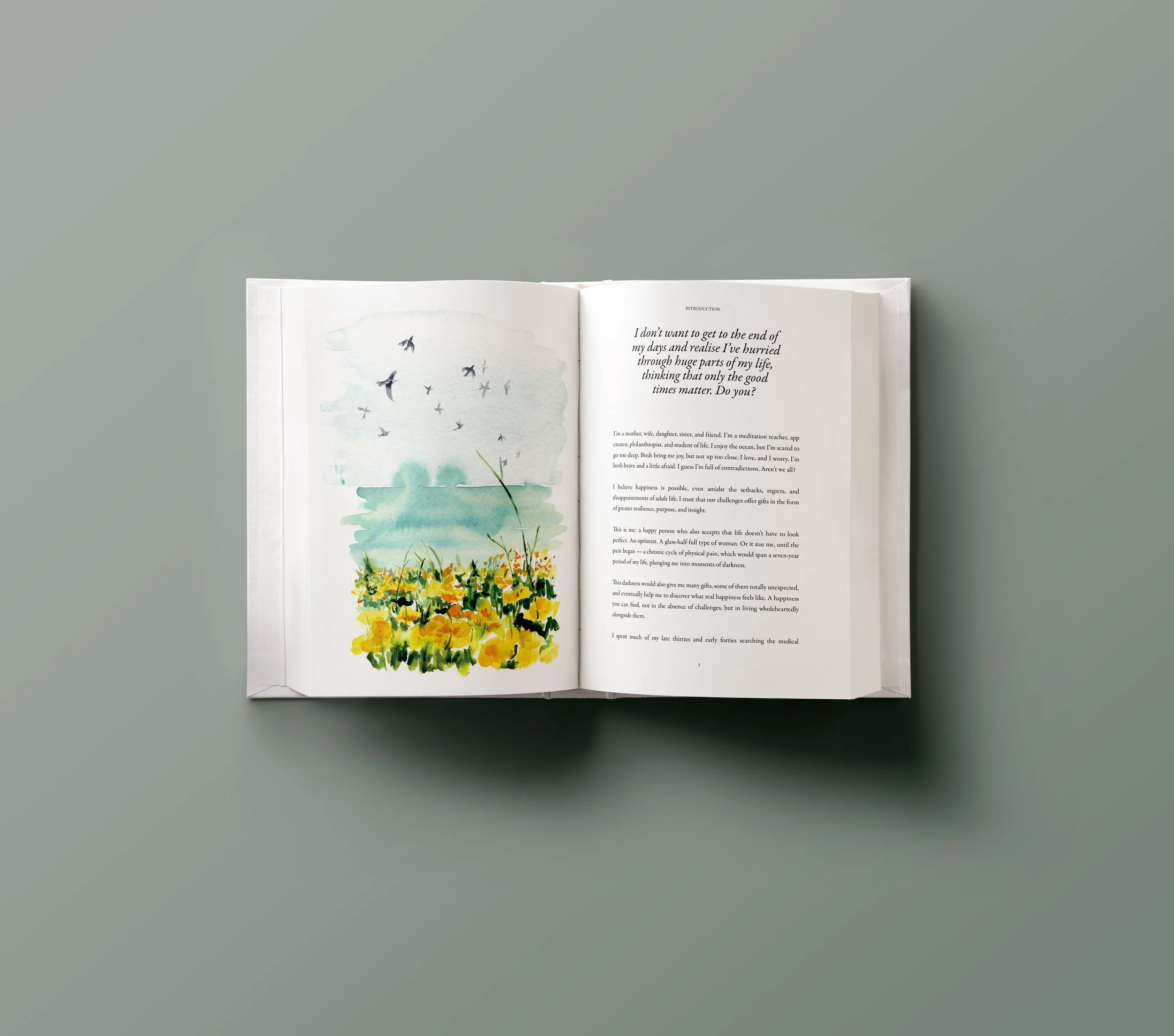 Ten Pathways illustrated book by Melbourne based artist & Illustrator Sarah Hankinson. Written by Fleur Chambers, 