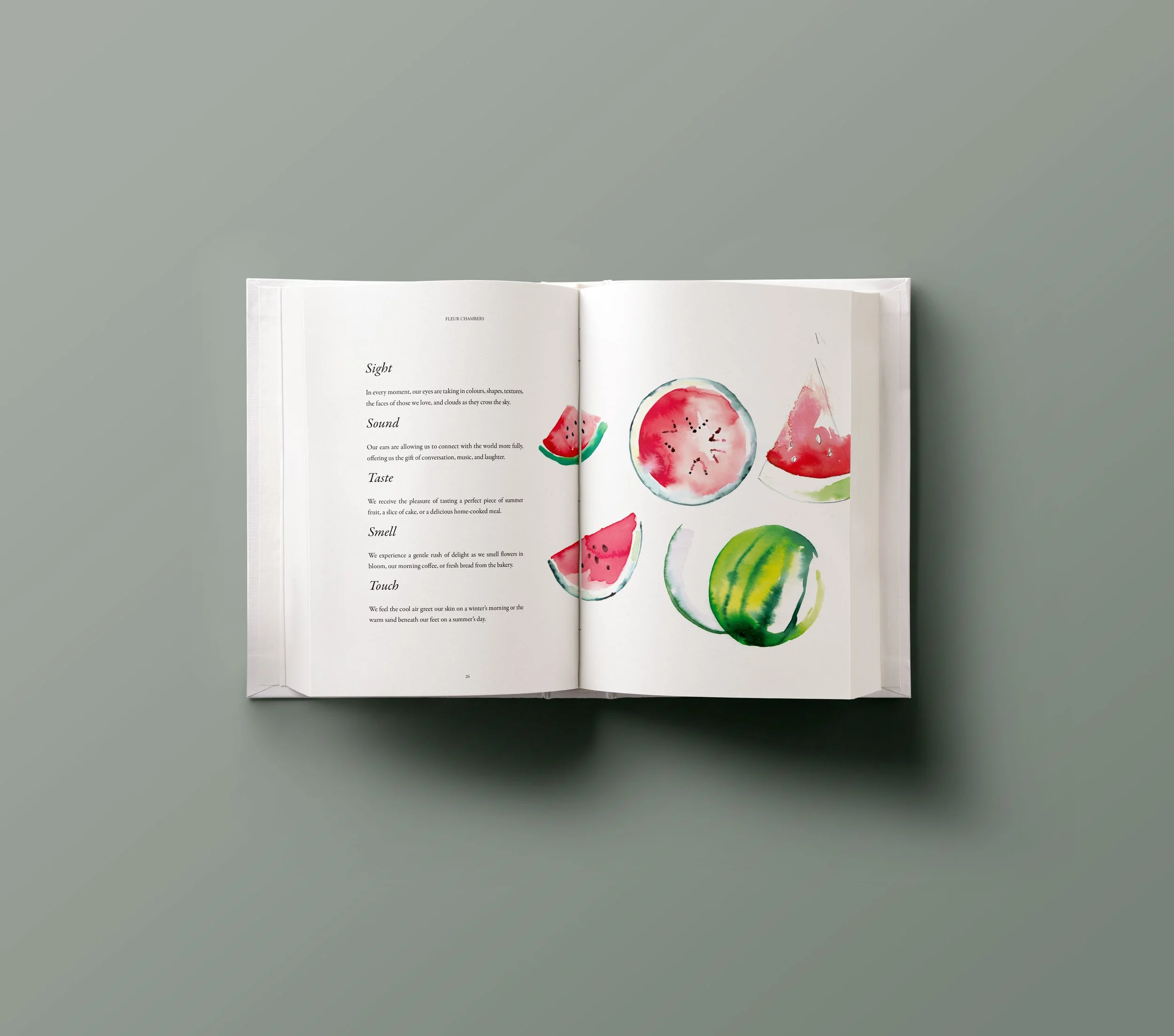 Ten Pathways illustrated book by Melbourne based artist & Illustrator Sarah Hankinson. Written by Fleur Chambers, 