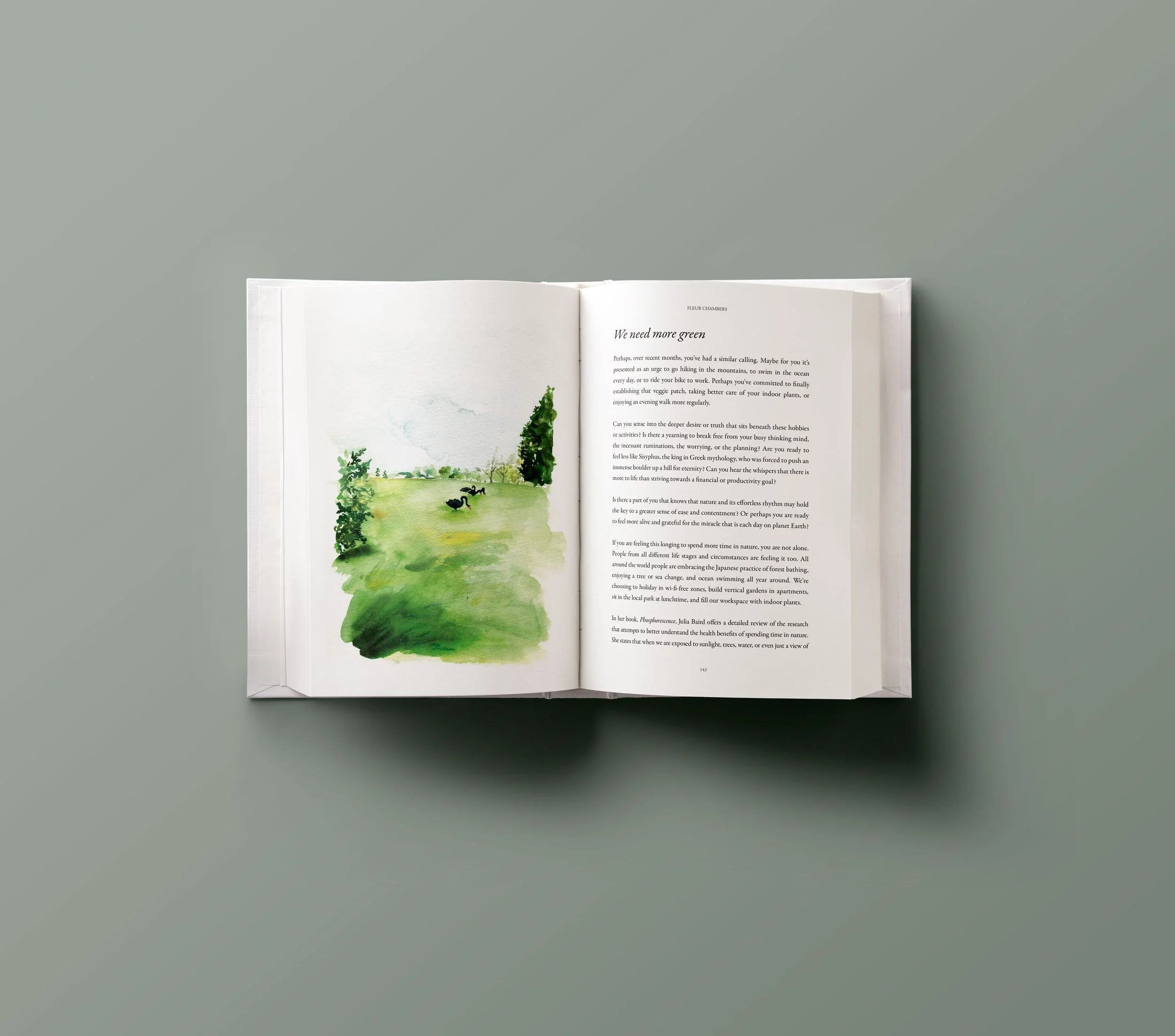 Ten Pathways illustrated book by Melbourne based artist & Illustrator Sarah Hankinson. Written by Fleur Chambers, 