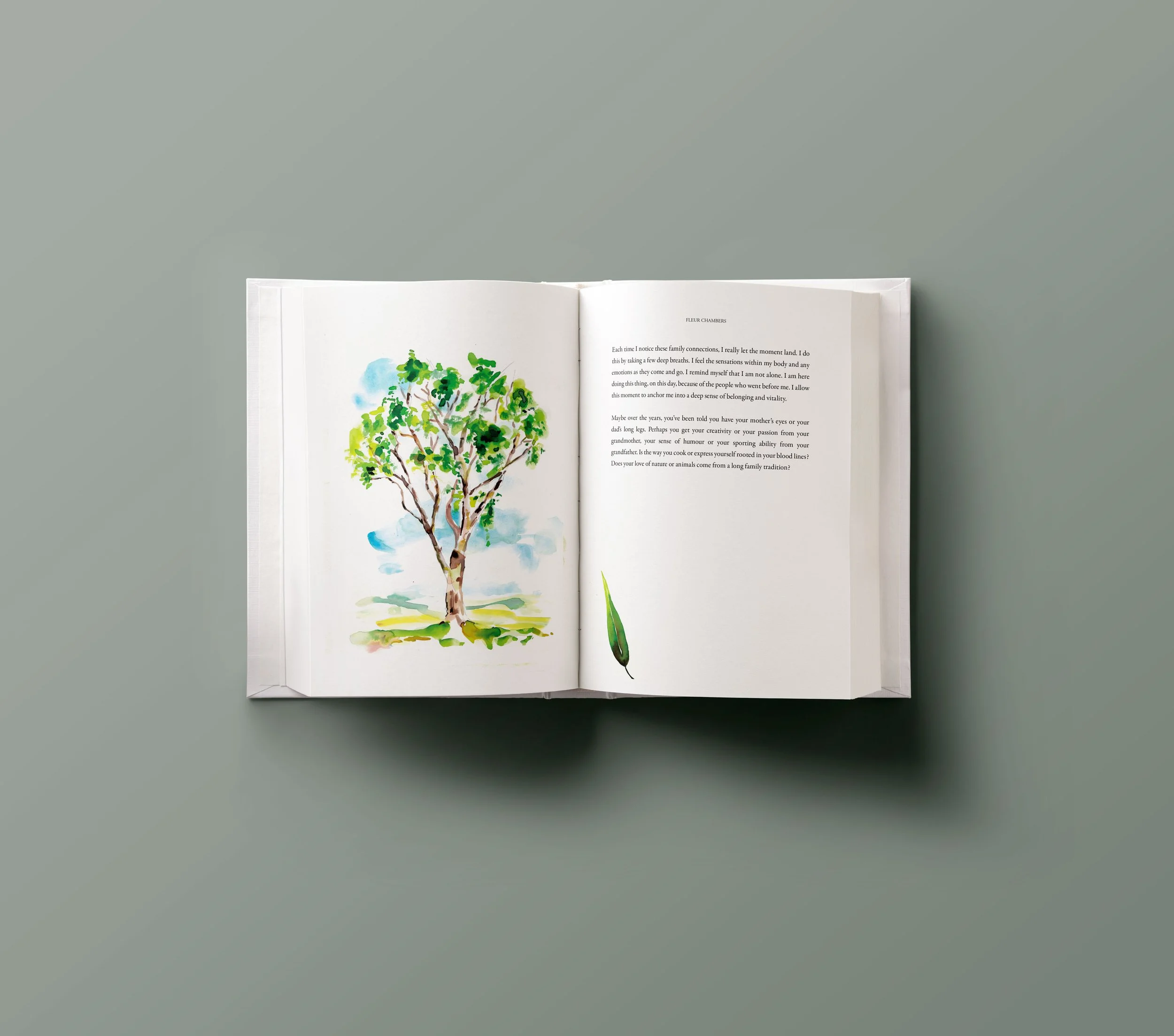 Ten Pathways illustrated book by Melbourne based artist & Illustrator Sarah Hankinson. Written by Fleur Chambers, 