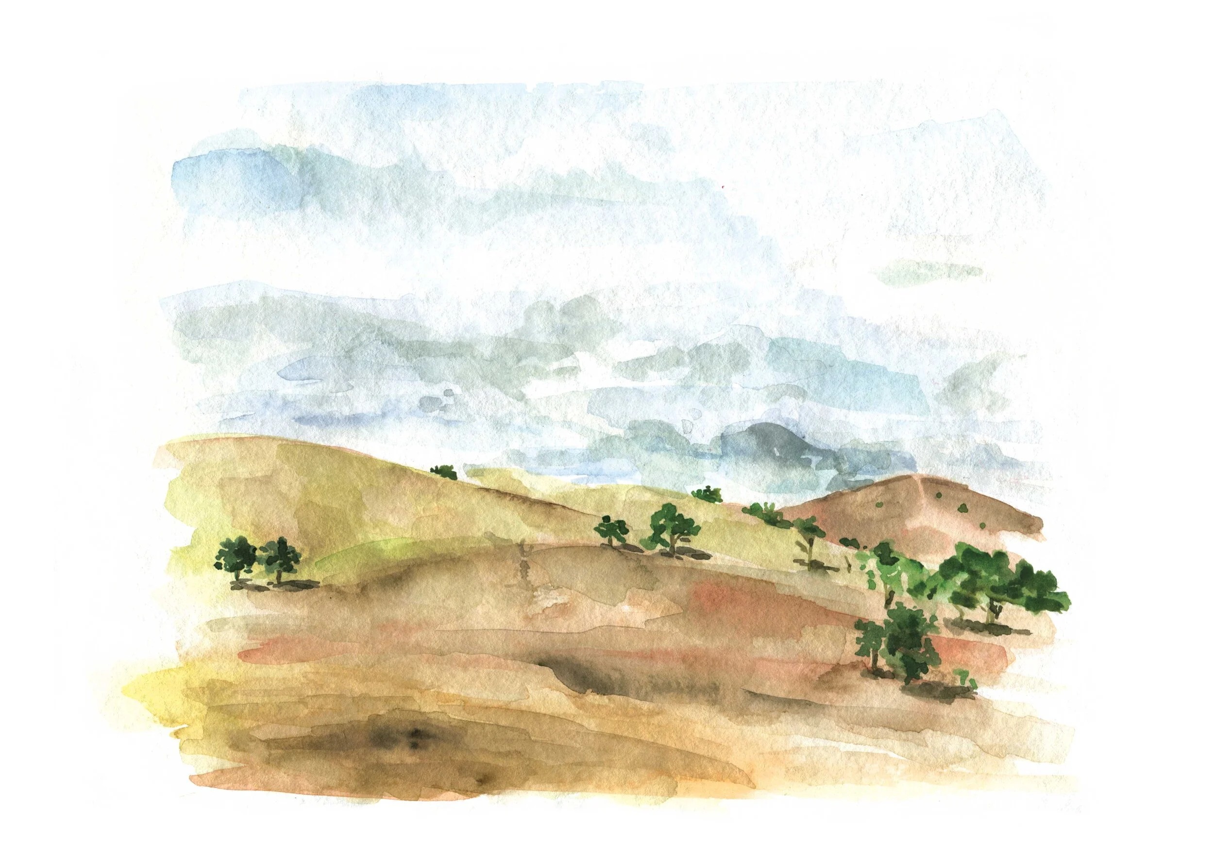 Landscape in watercolour  by Melbourne based artist & Illustrator Sarah Hankinson. 