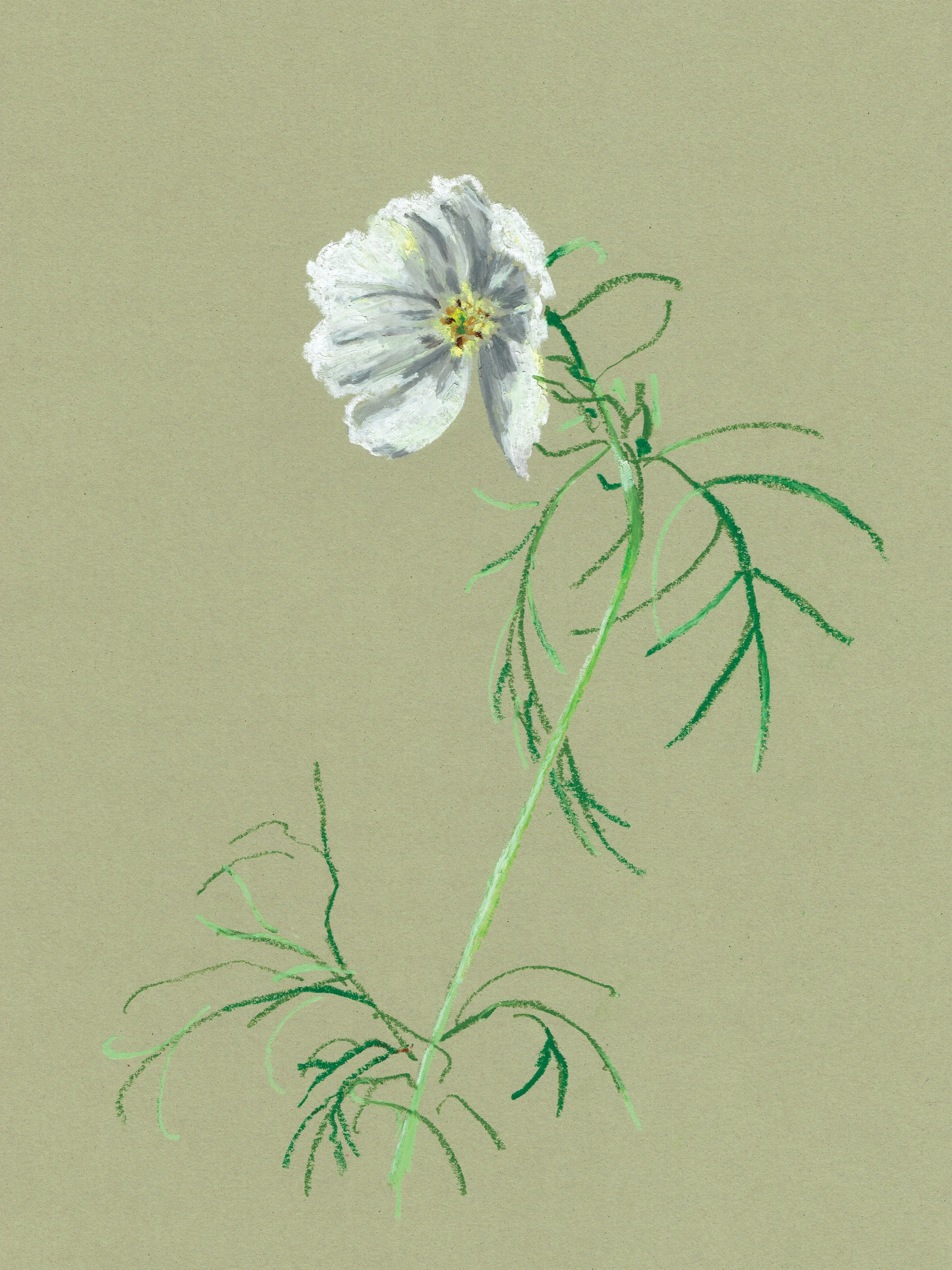 1_2023-Calendar_Sarah-Hankinson.jpg
