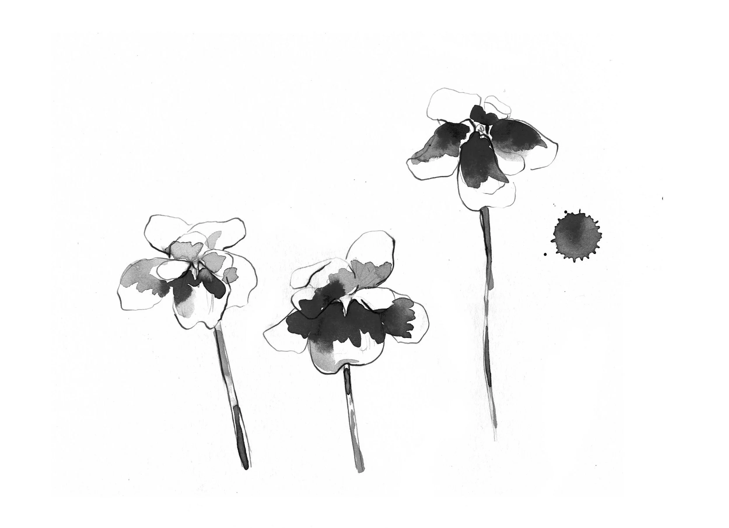 NBH_Projects_SarahHankinson4-copy.jpg