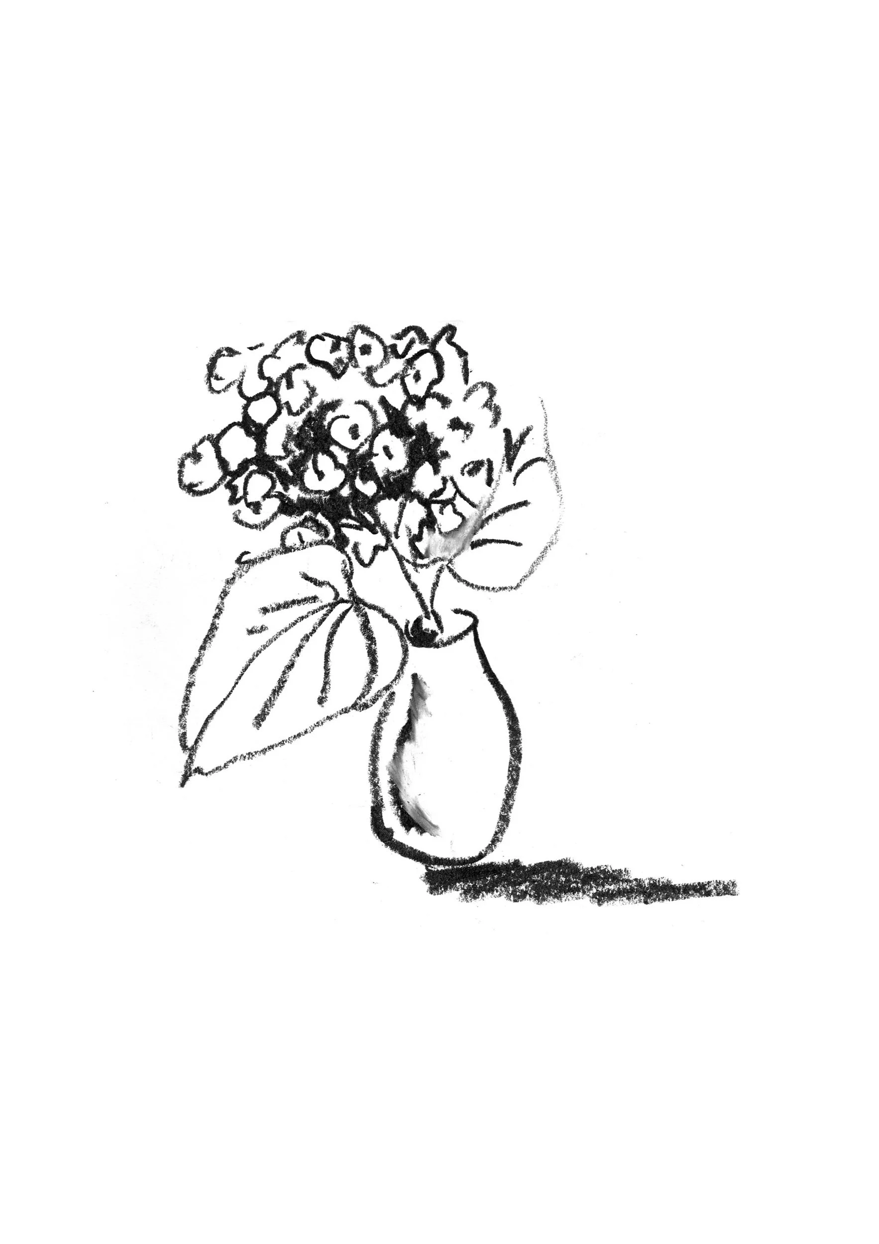 Black and white illustrations for Ramble On books website and social media by Sarah Hankinson