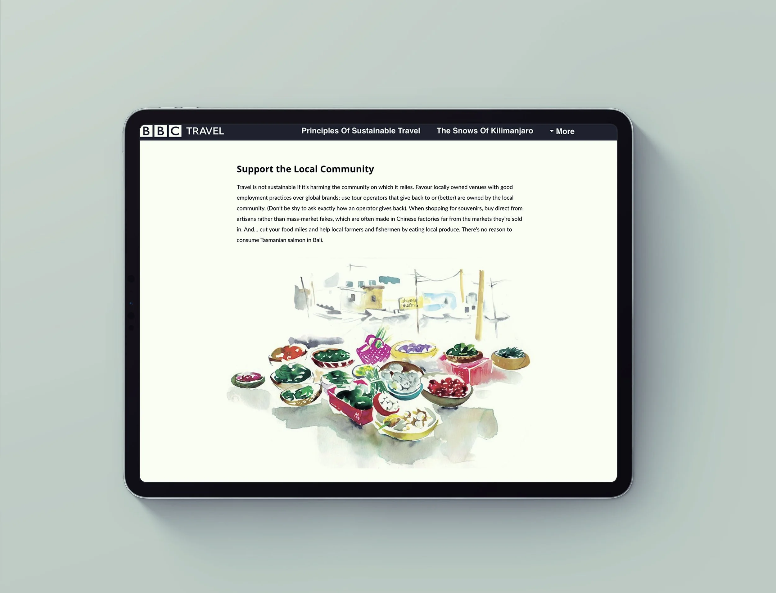 BBC watercolour illustration by Melbourne based artist & Illustrator Sarah Hankinson. 