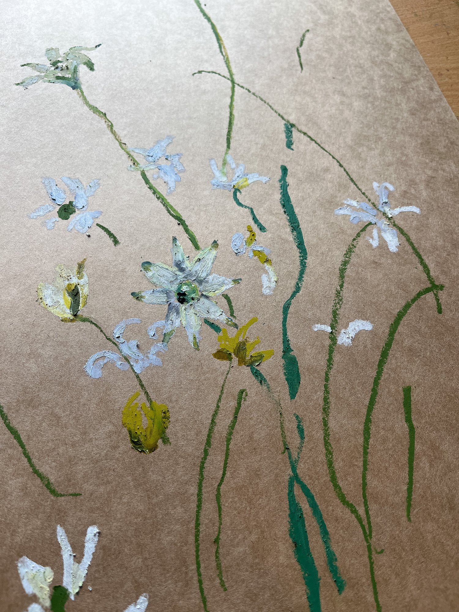 Sarah Hankinson Artist Flannel Flower2.jpeg