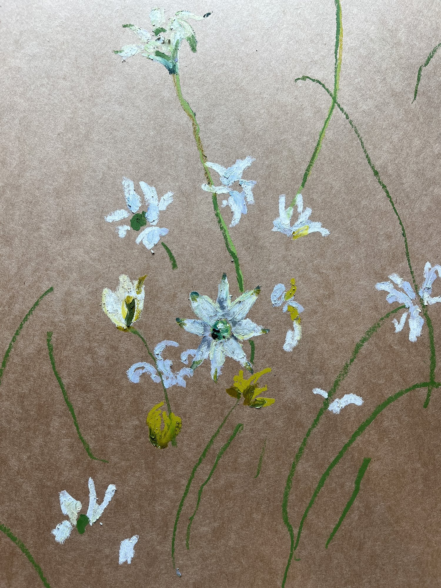Sarah Hankinson Artist Flannel Flower1.jpeg