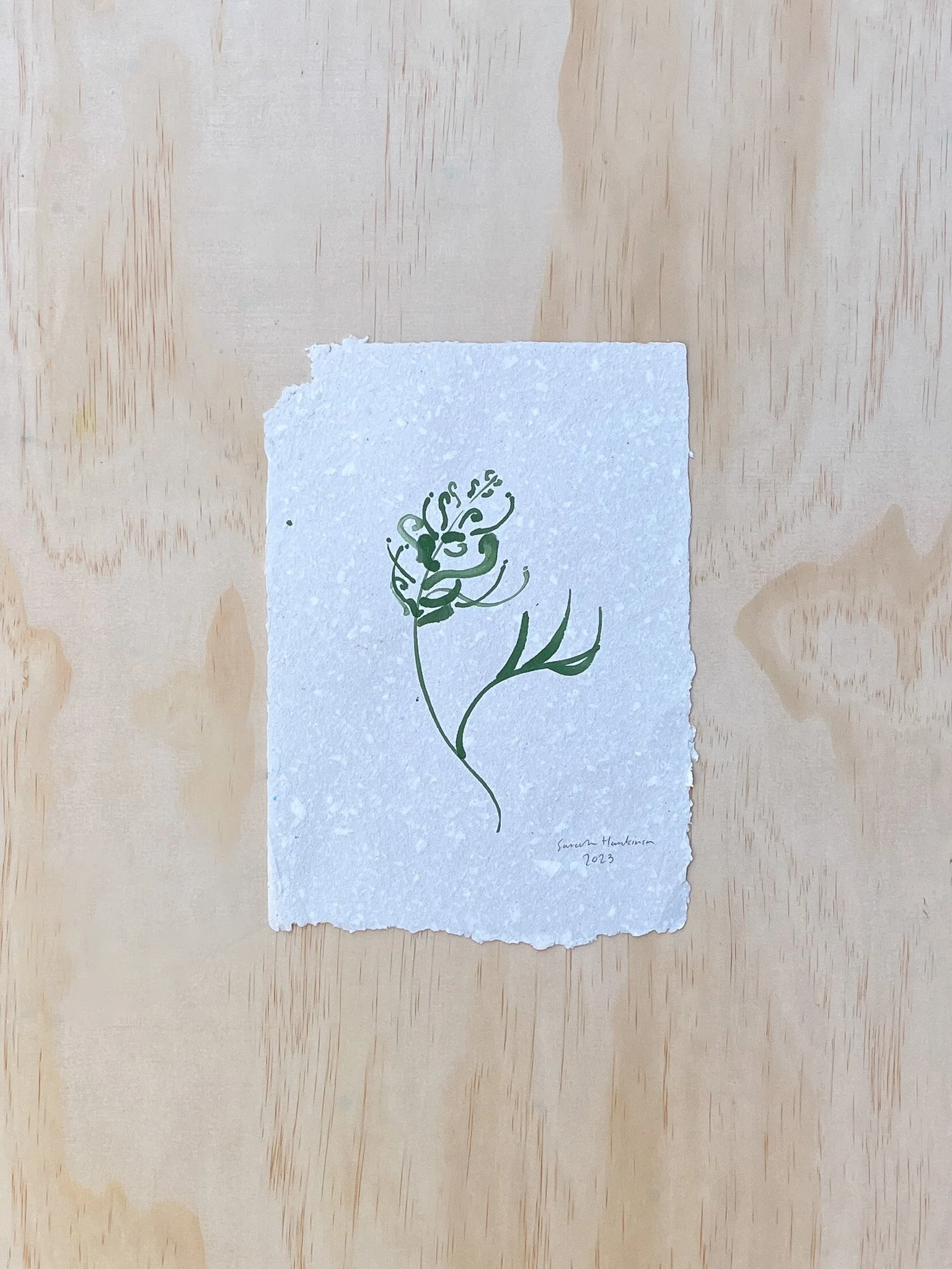 Sarah Hankinson_Grevillea Flower in Ink4.jpg