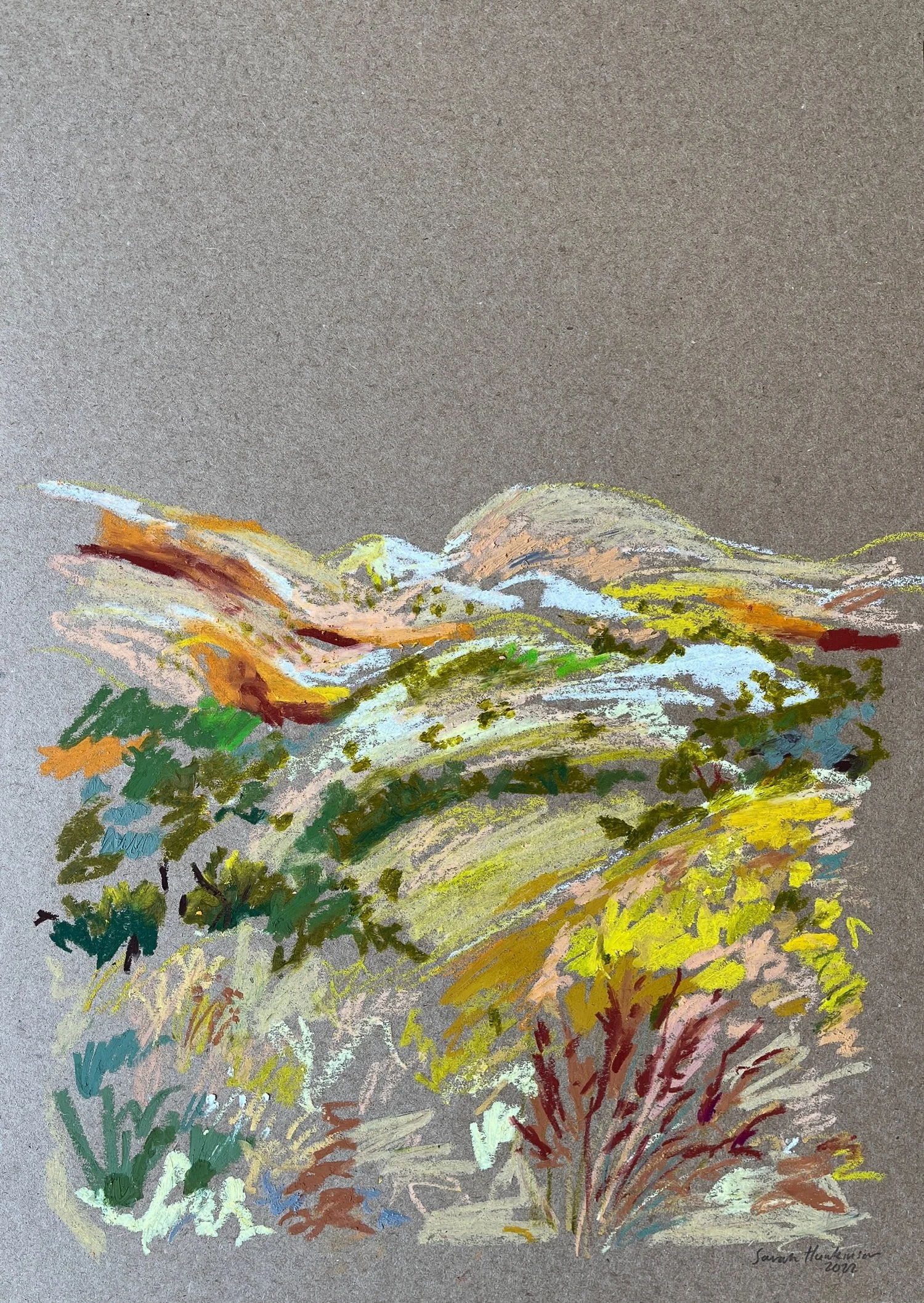 sarah Hankinson Landscape oil painting.jpg