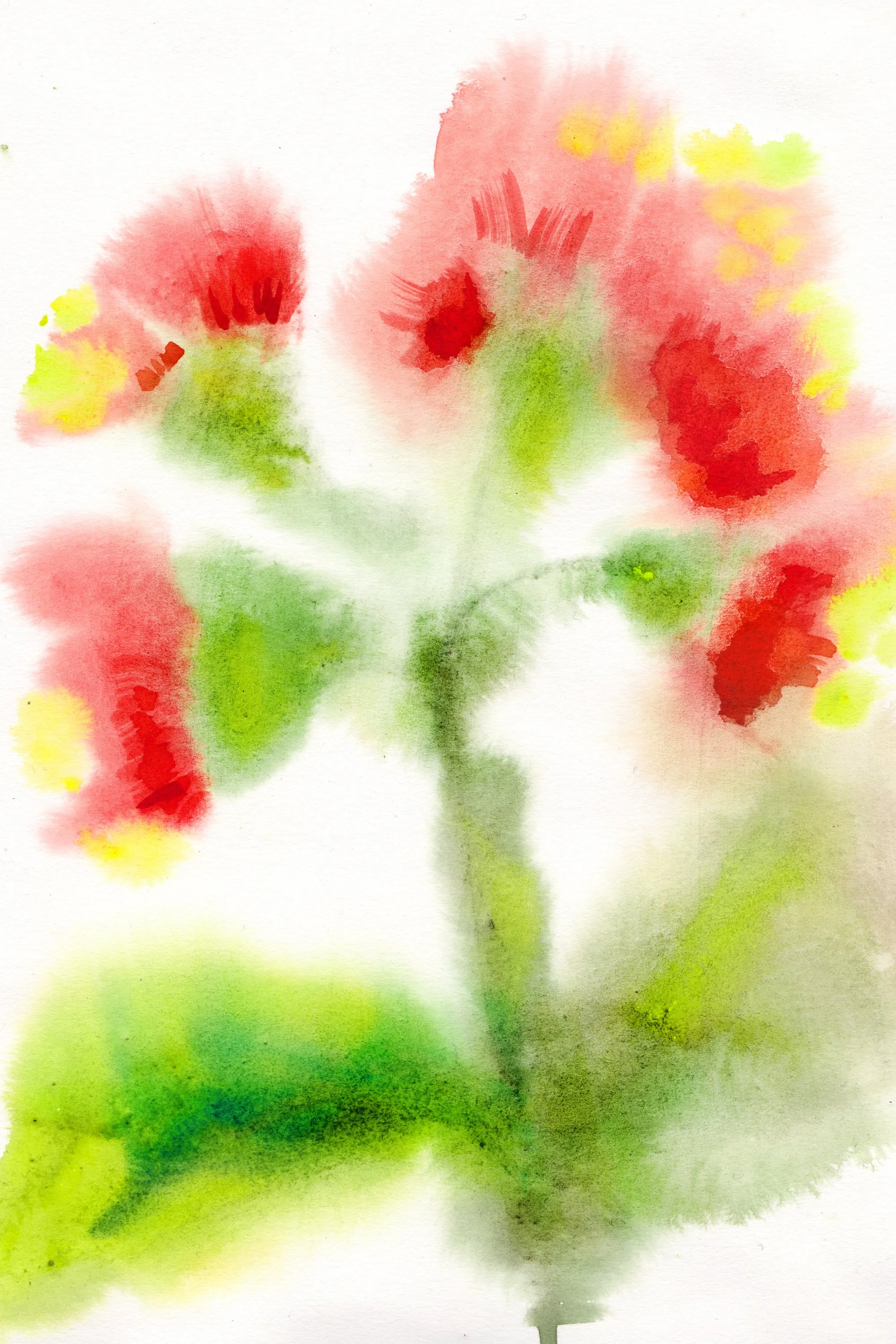 1 Flower Power_Sarah Hankinson.jpg