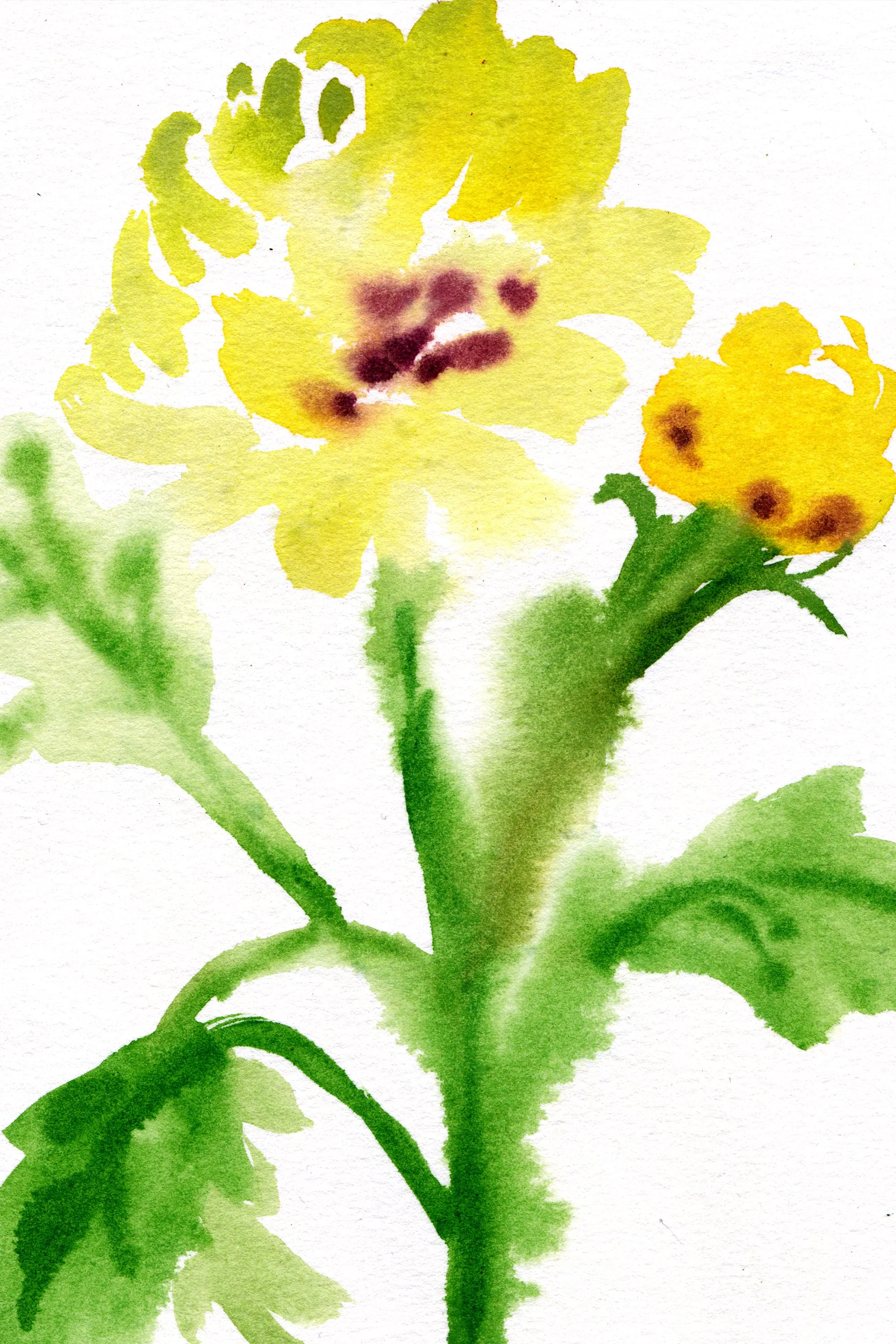 3 Flower Power_Sarah Hankinson.jpg