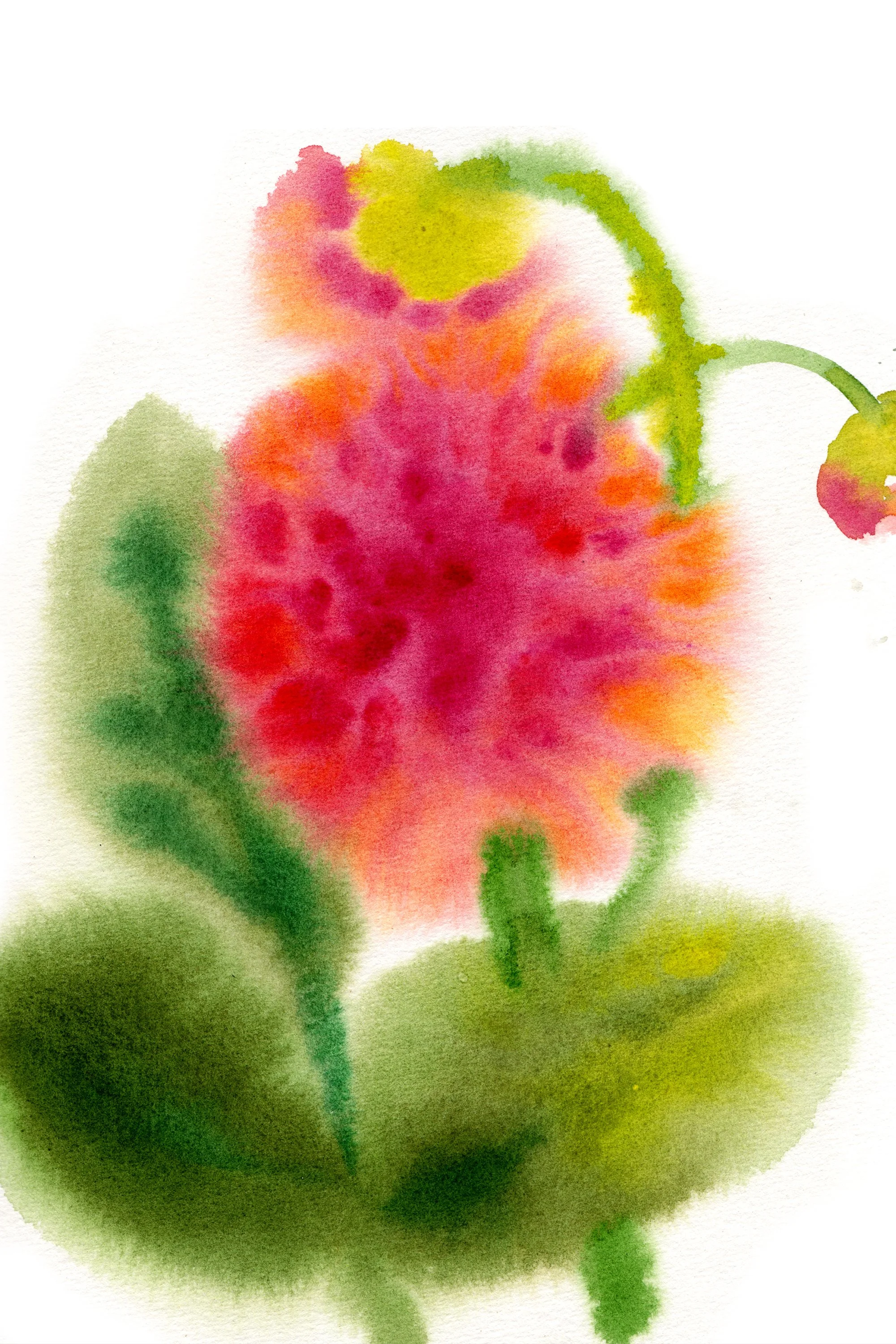 2 Flower Power_Sarah Hankinson.jpg