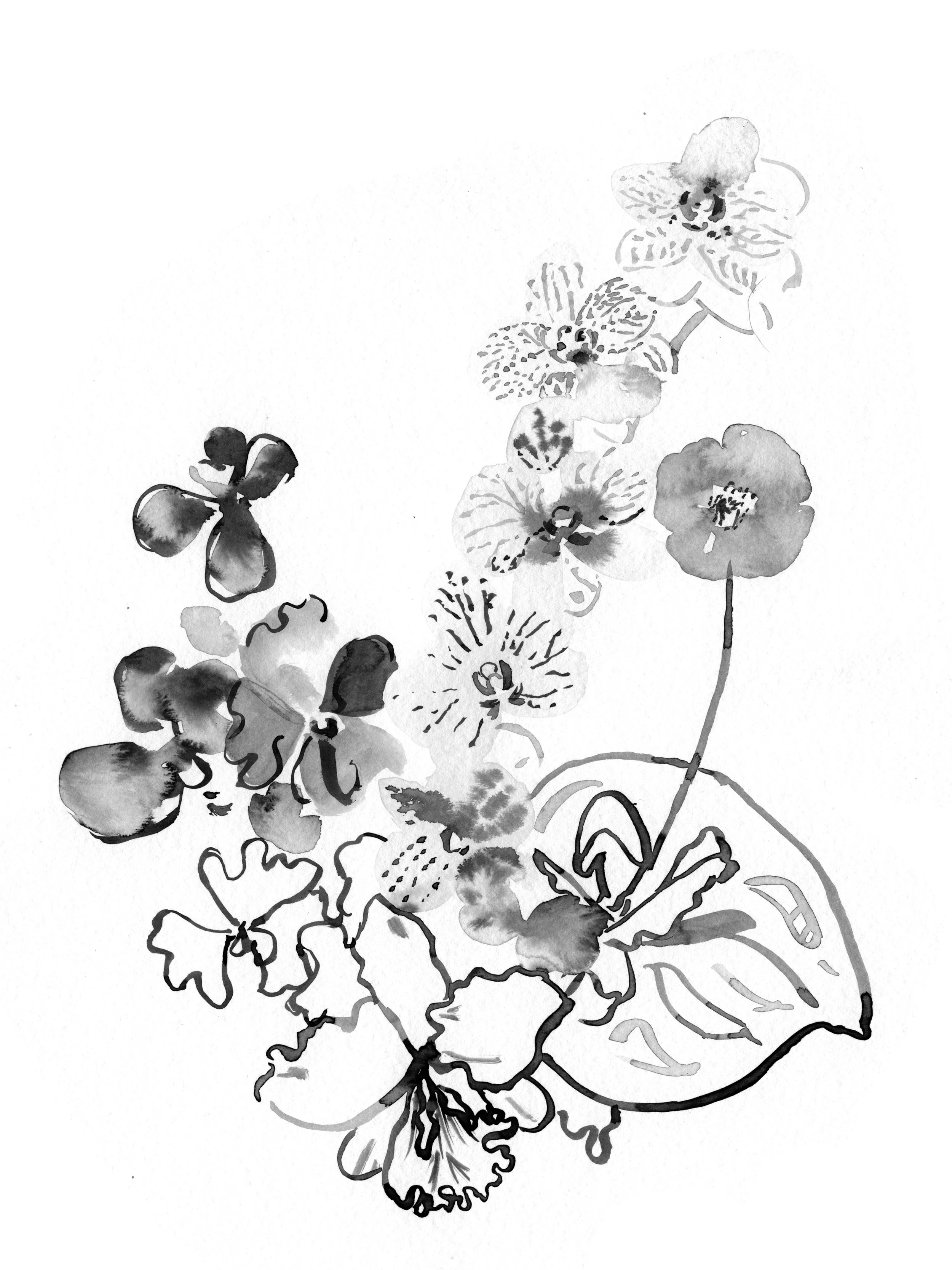 Sarahhankinson_Ink_Botanical2 copy.jpg